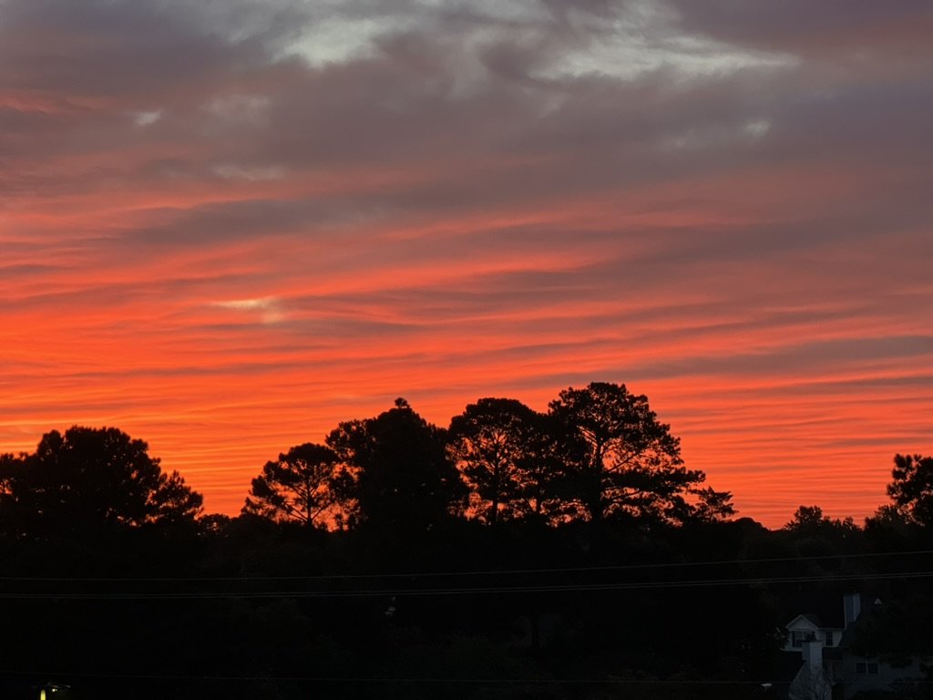 2CC55B06-020C-46AE-BF9E-E6D1BADC2D76_1_105_c.jpeg