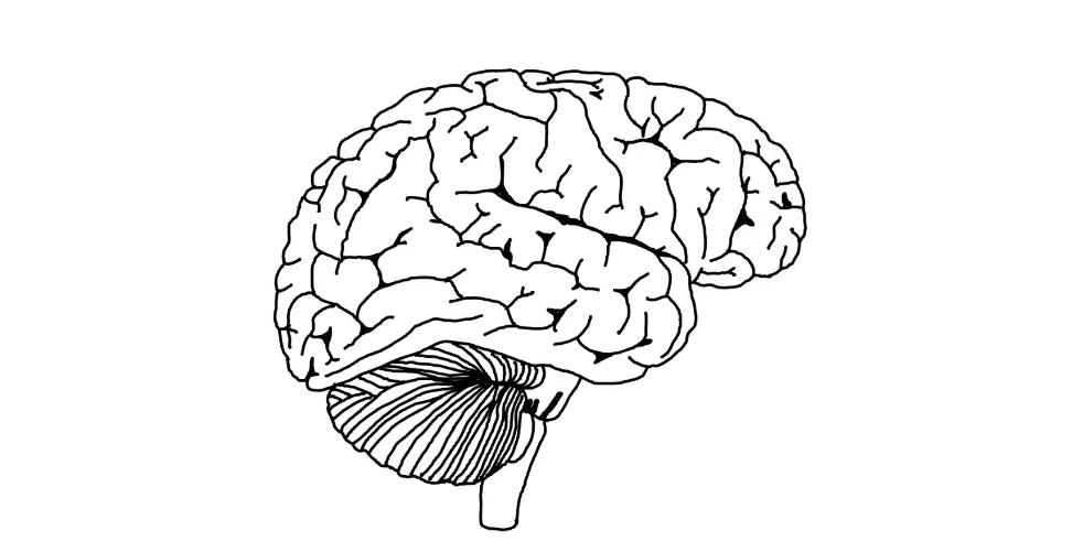 New Research Shows Chiropractic Care is a Boost for Your Brain &amp; Body