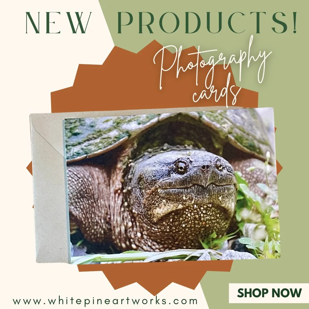 🚨 New product alert! 🚨 
Our new photography cards uniquely combine our love for cards and Abby’s nature photography. Pick up a card featuring this sweet smiling snapping turtle, Northwoods flowers, birds, and more on our website and Etsy! 🐢