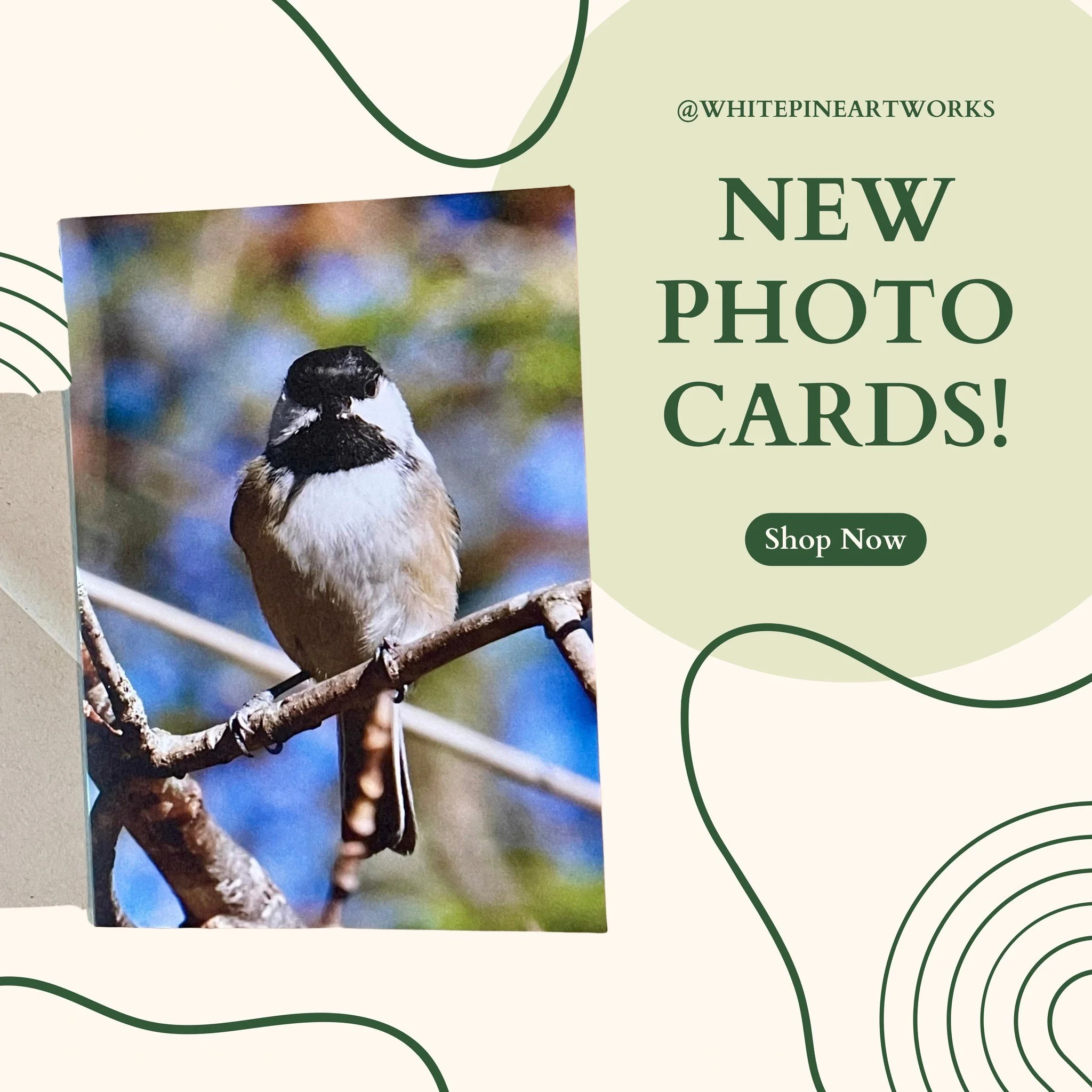 You've seen our Chickadee stamped card, now you can see the real life inspiration in Abby's new photo cards! These birds are everywhere in the Northwoods, and their call is uniquely recognizable! Find this card and others in the photo collection on o
