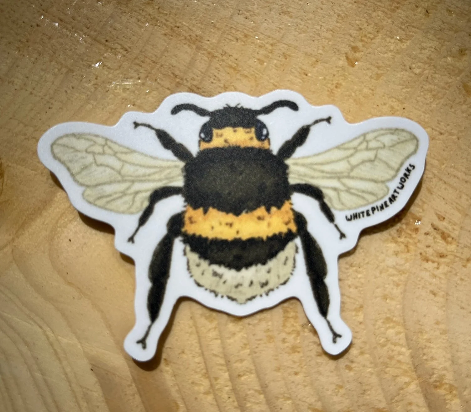 Bumblebee.jpeg