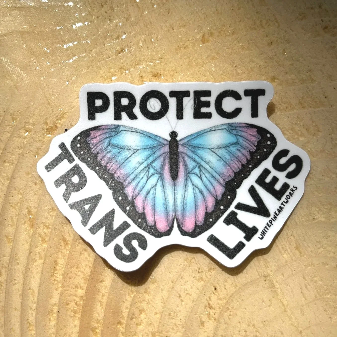 Protect+Trans+Lives.jpg