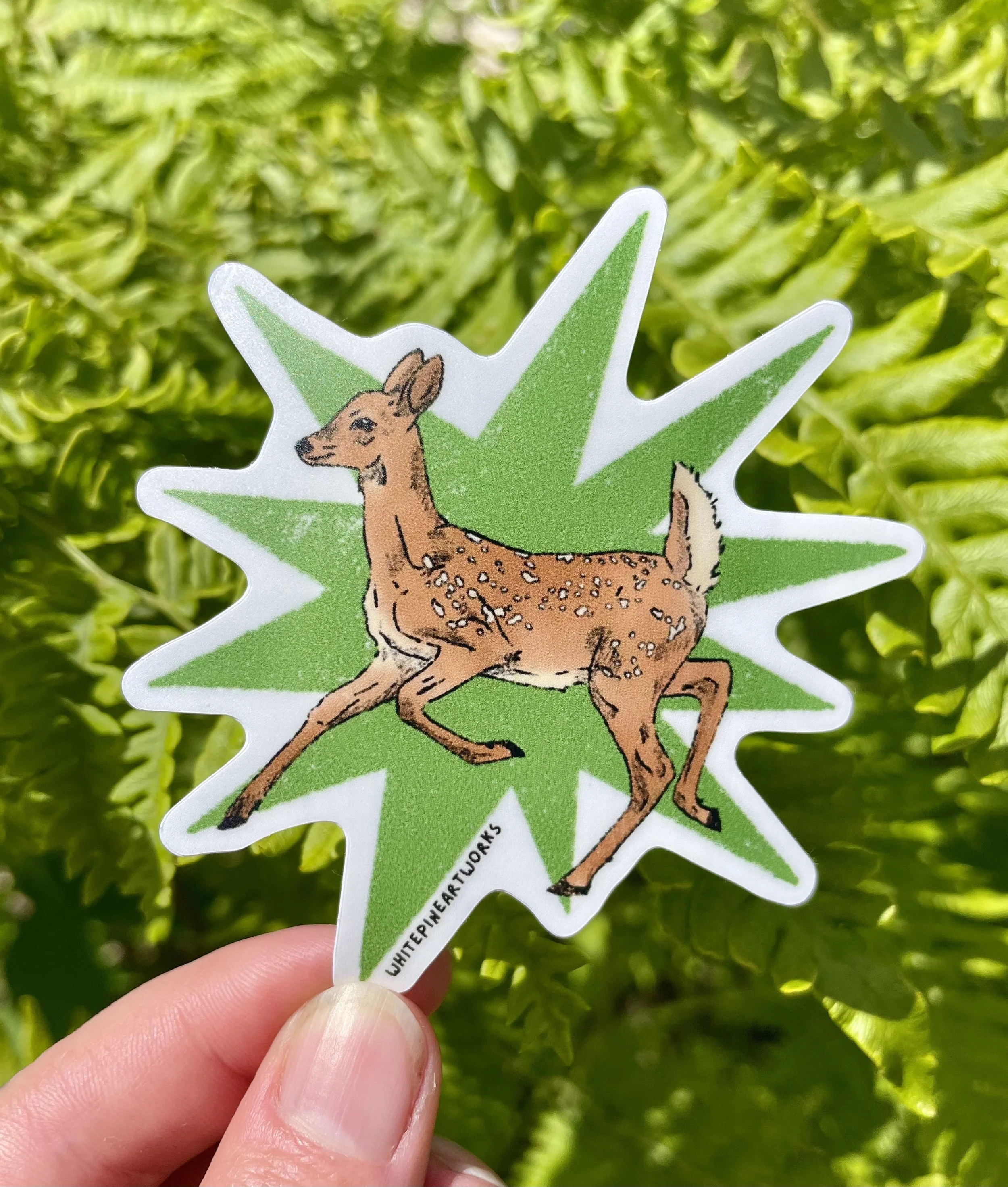 Deer Fawn Sticker