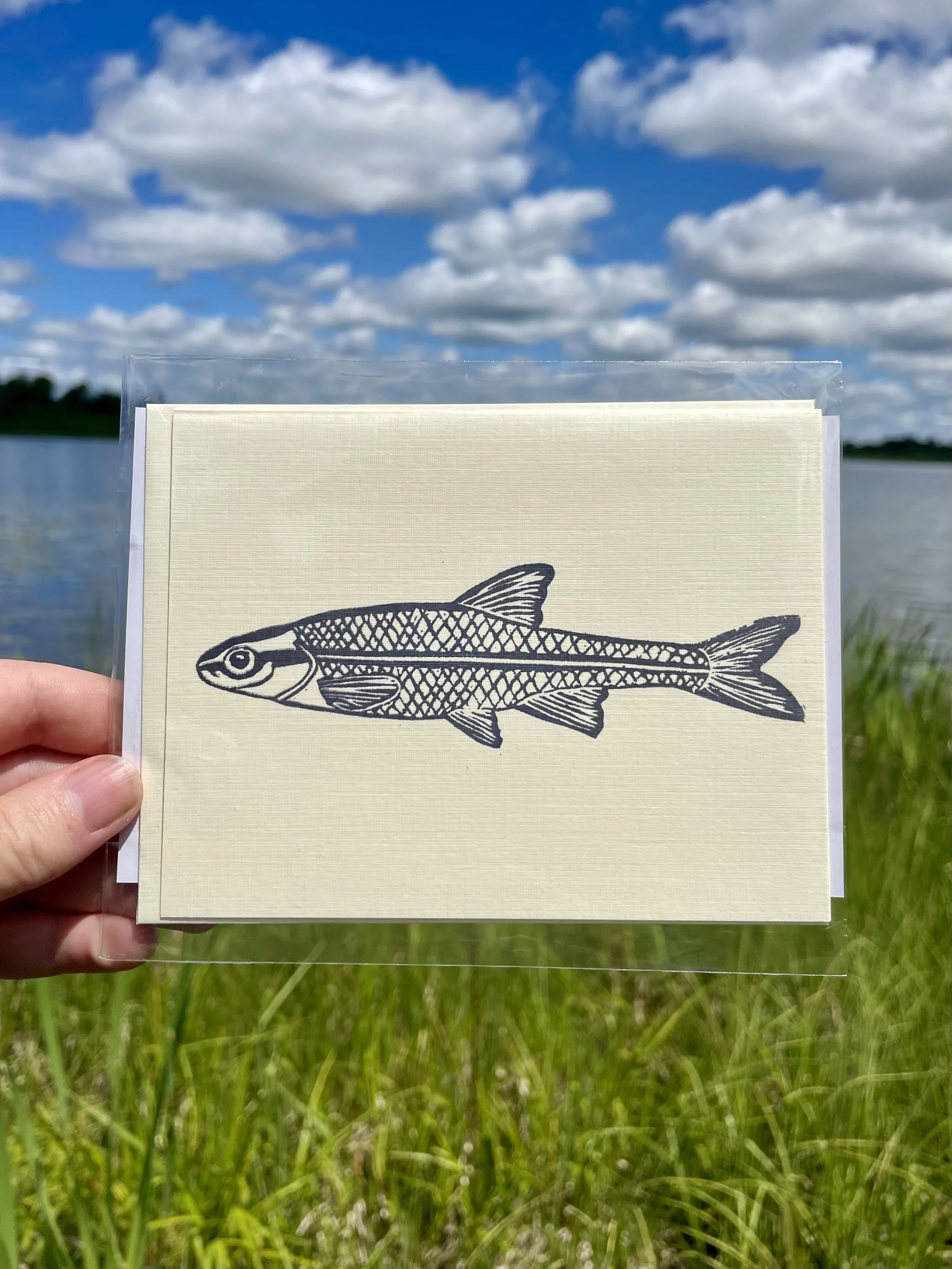 "Minnow" Stamped Card