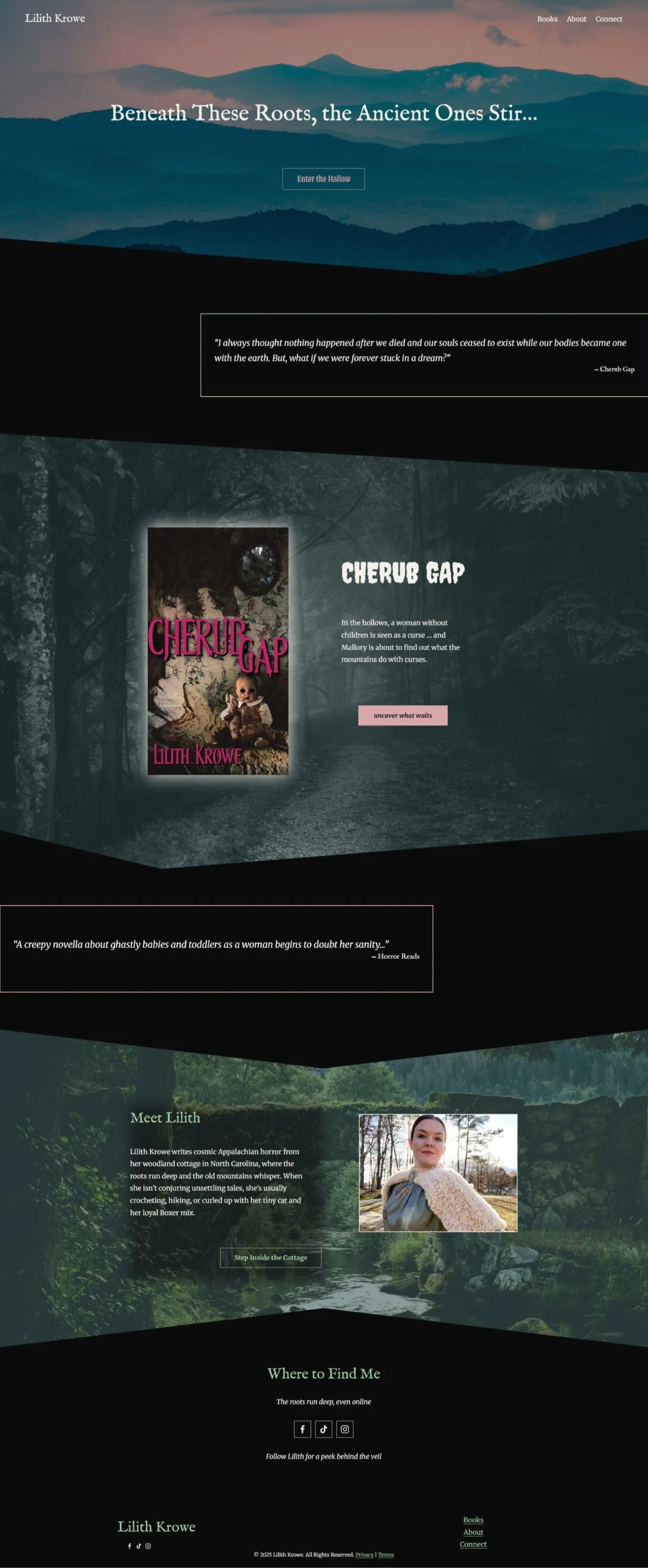 Screenshot of a client website, homepage for Lilith Krowe.