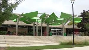 Reading at Royal Oak Library