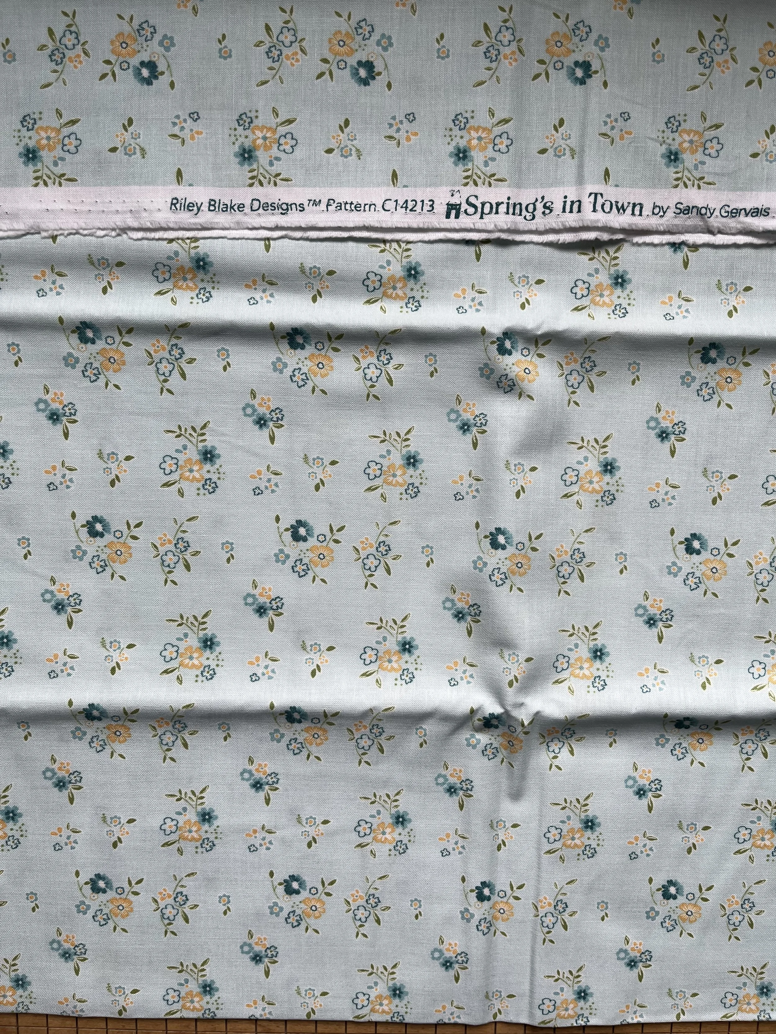 Riley Blake Springs in Town ( Slight MInty color)