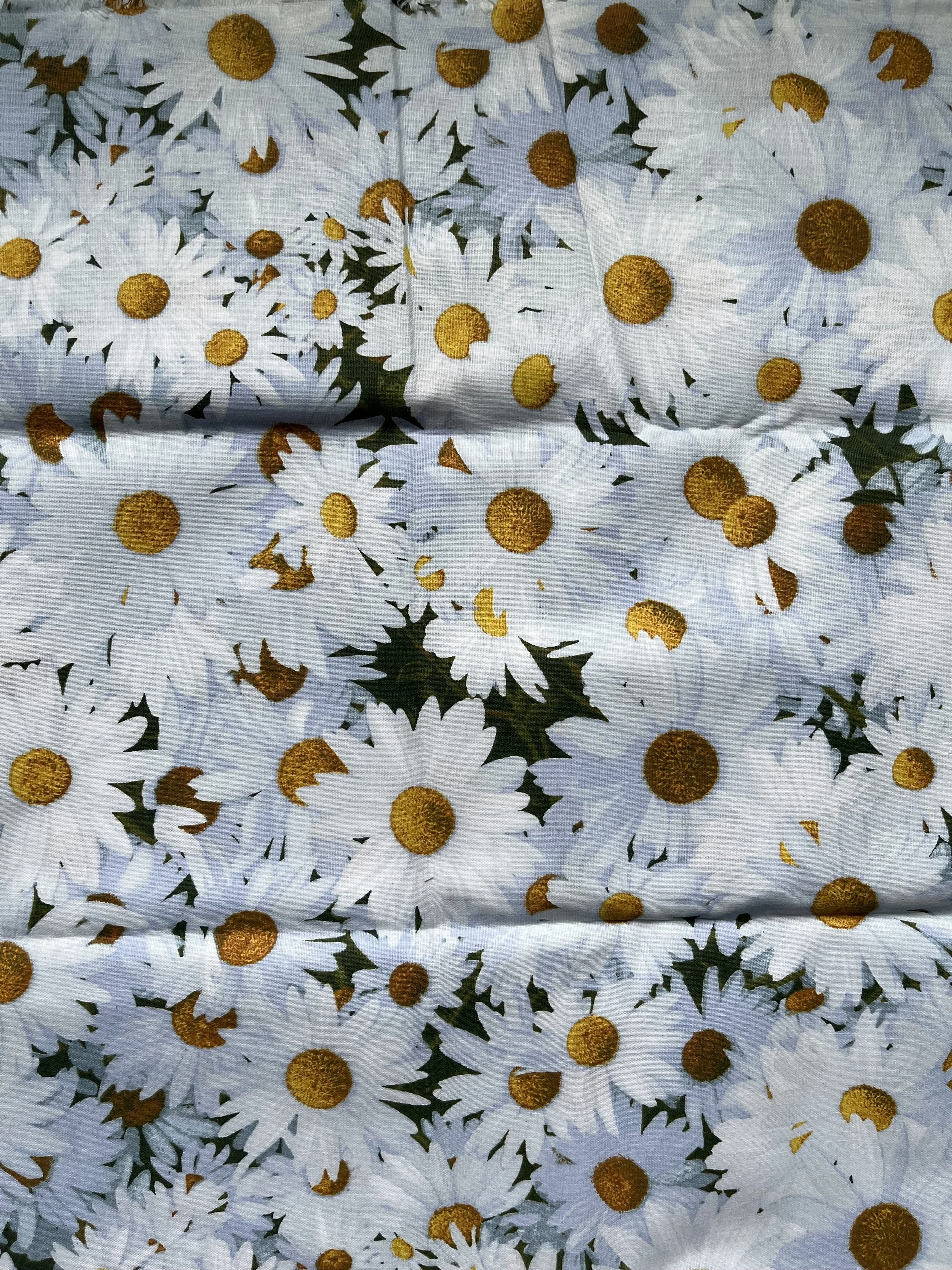 Shasta Daisy Green Background ( 2 yd cuts)