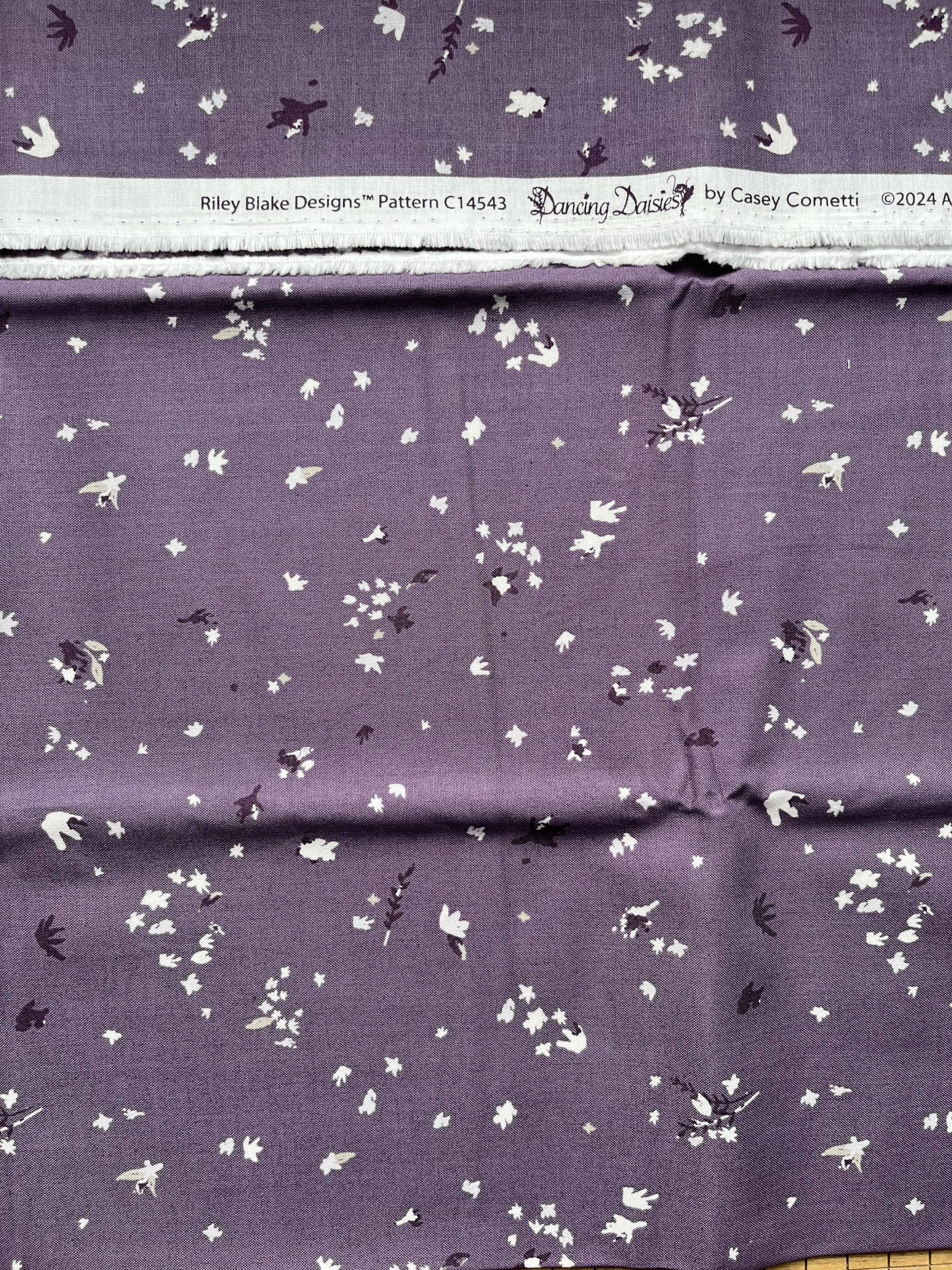 Riley Blake Dancing Daisies