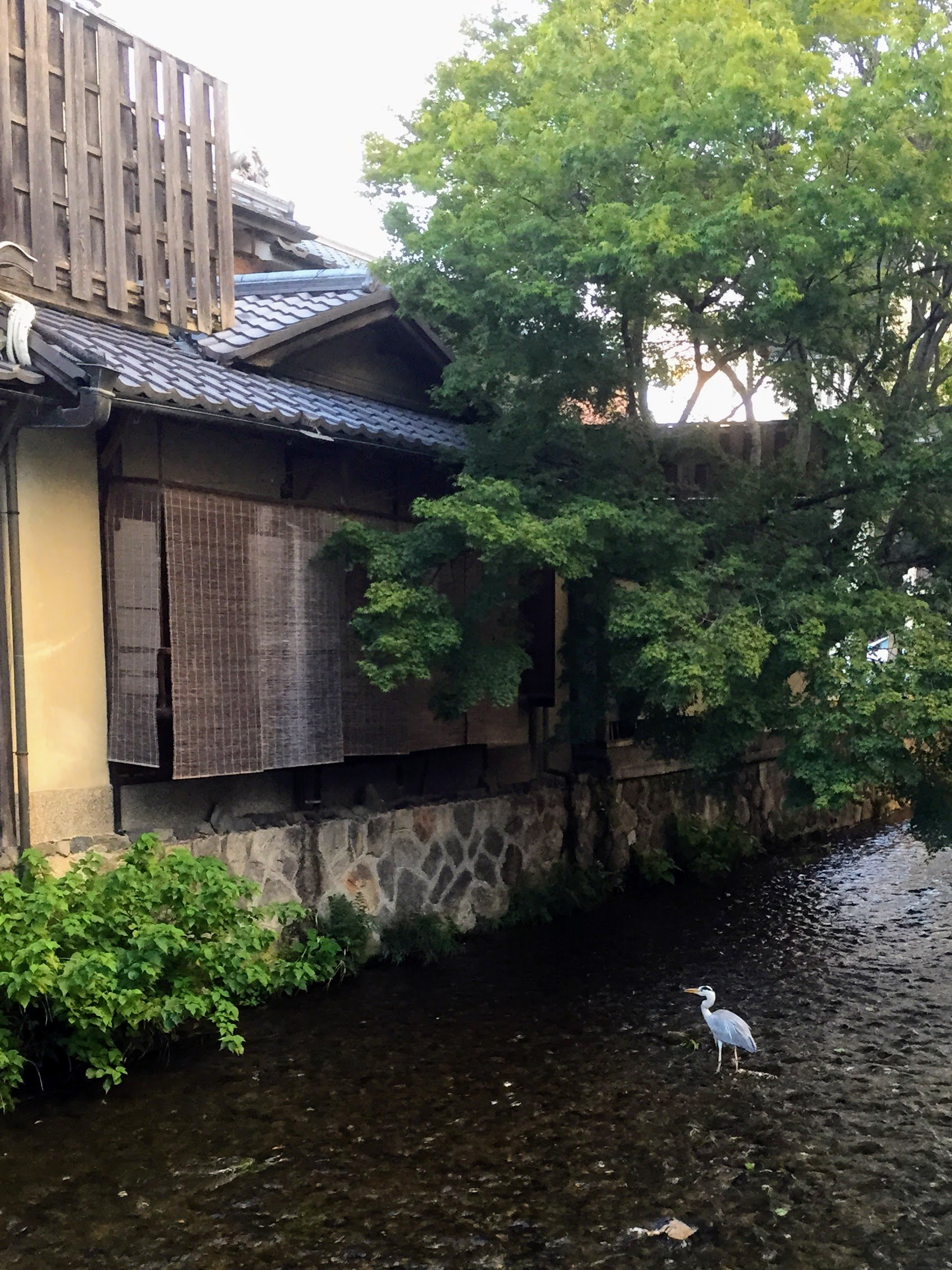 Kyoto, Japan