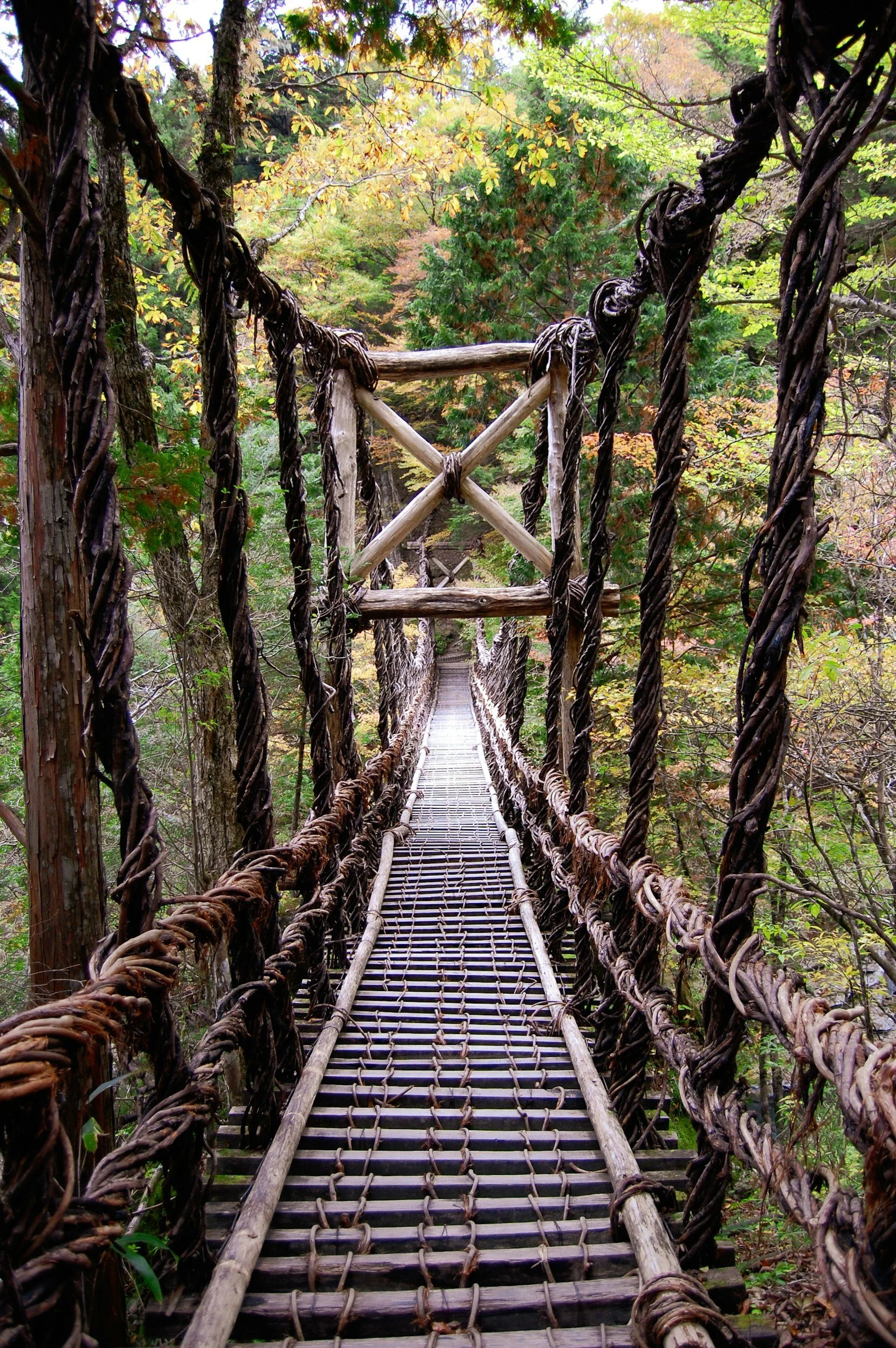 Iya Valley, Shikoku, Japan