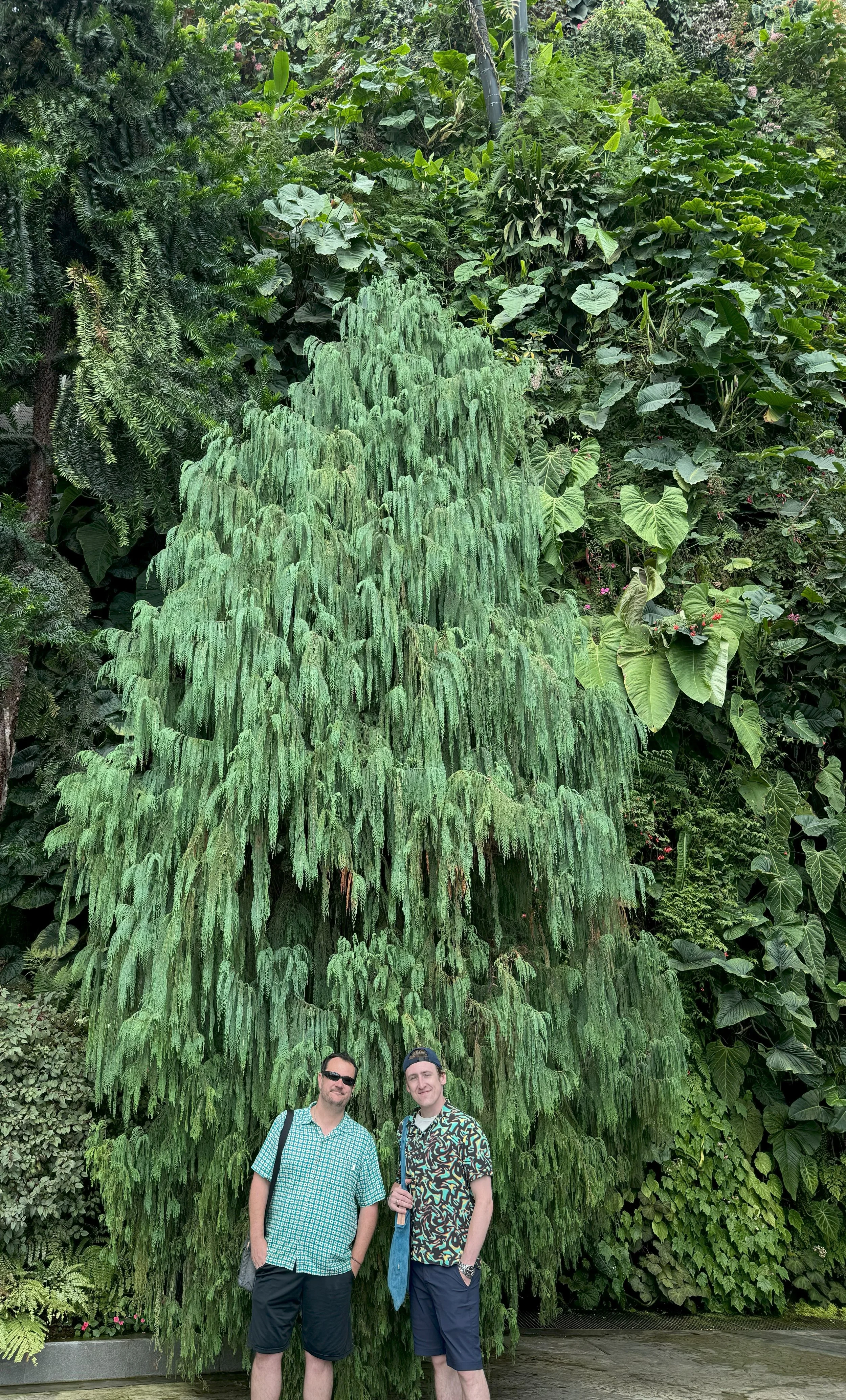 Cloud Forest, Singapore
