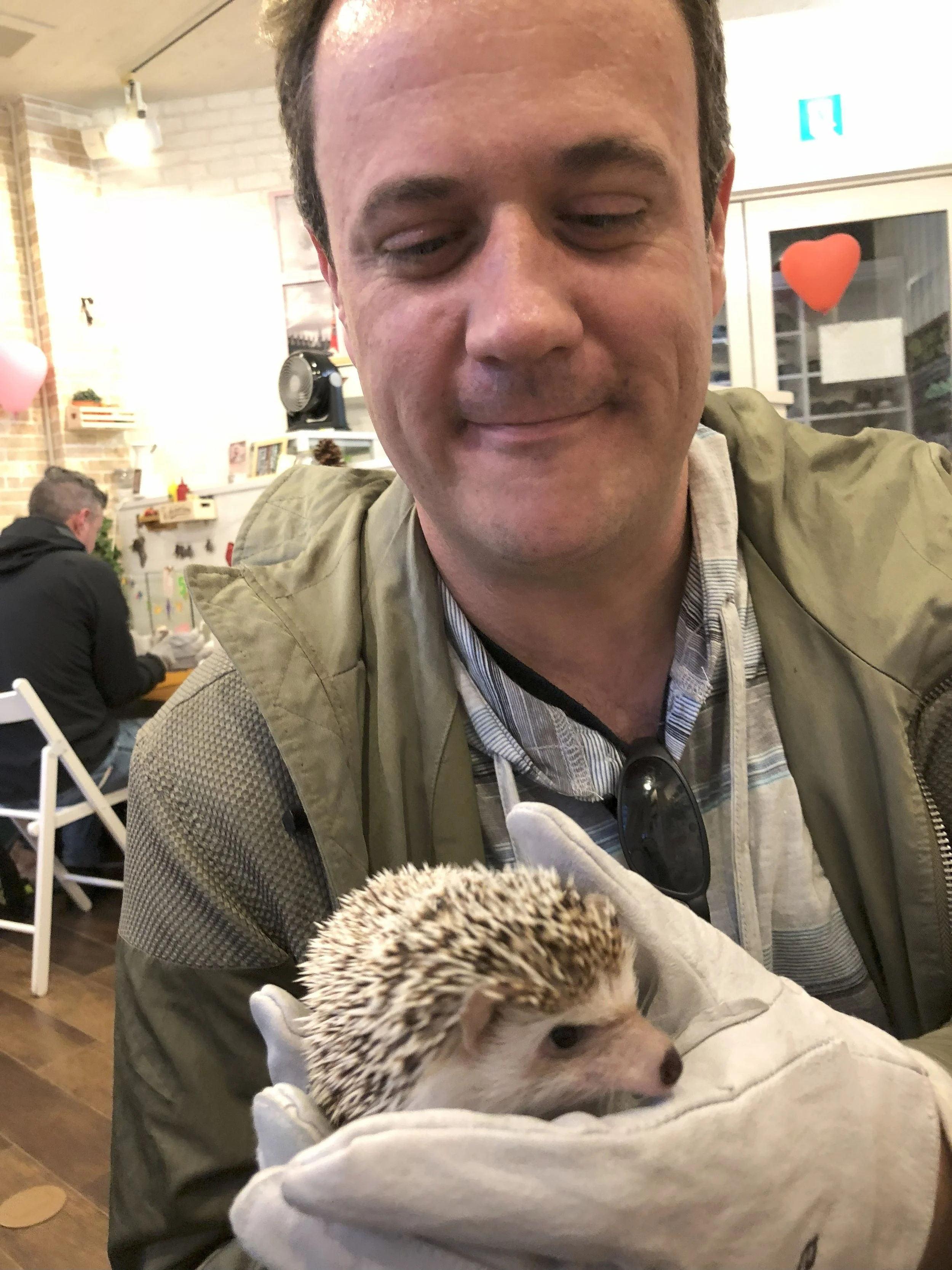 Hedgehog cafe, Tokyo, Japan