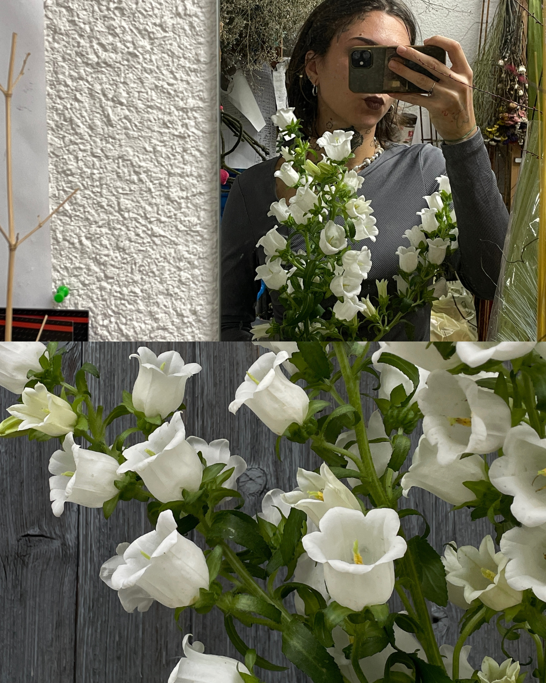 Design sans titre-8.png