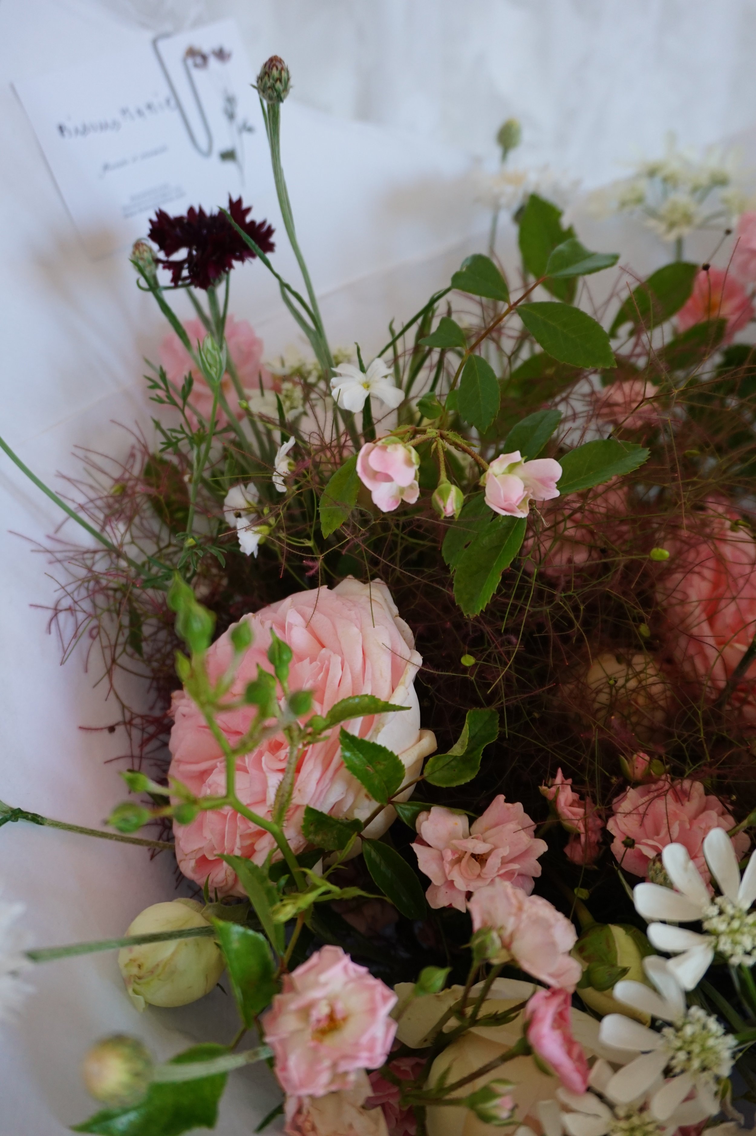 DSC00739.JPG