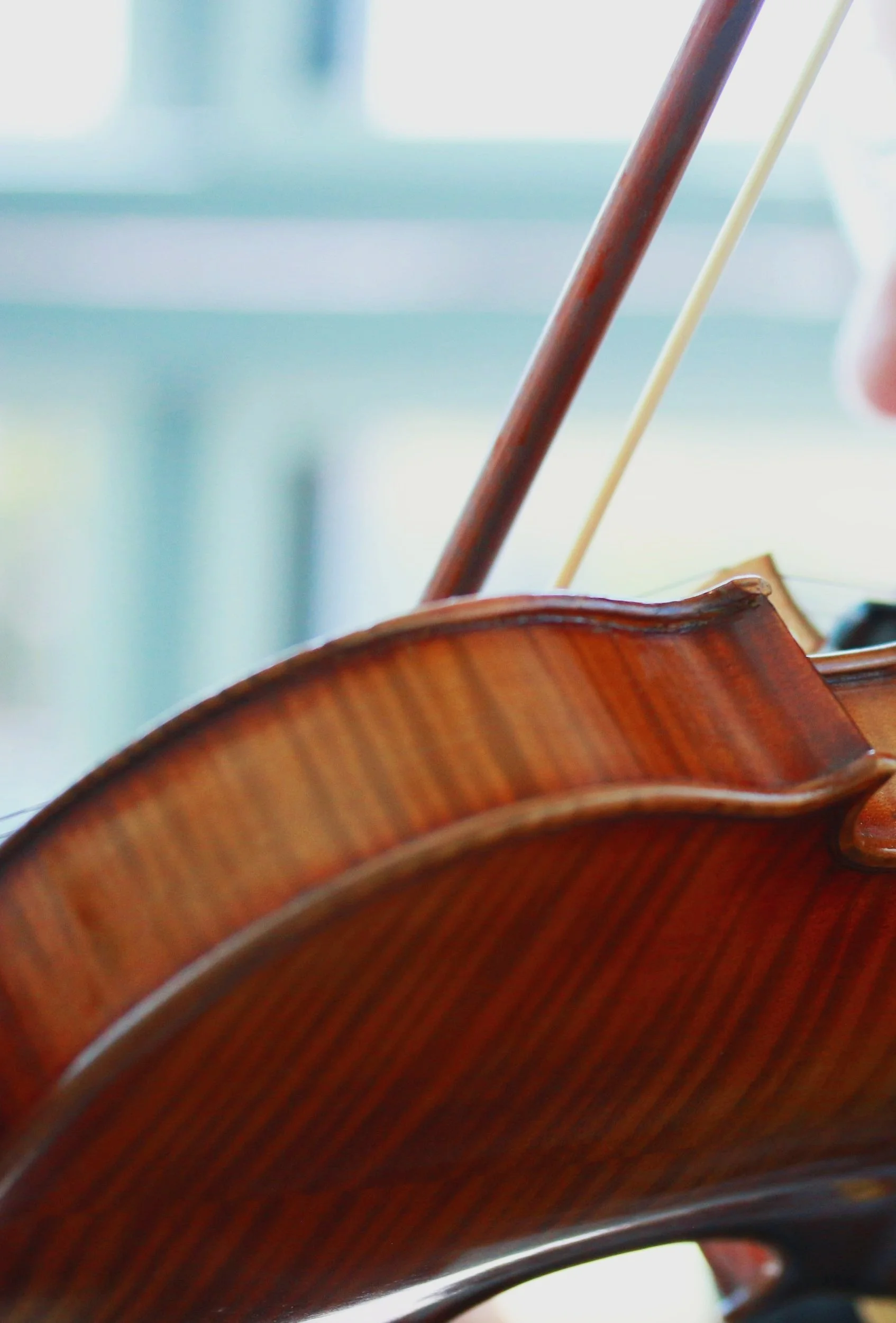 String quartet performing at an outdoor wedding ceremony in Townsville
