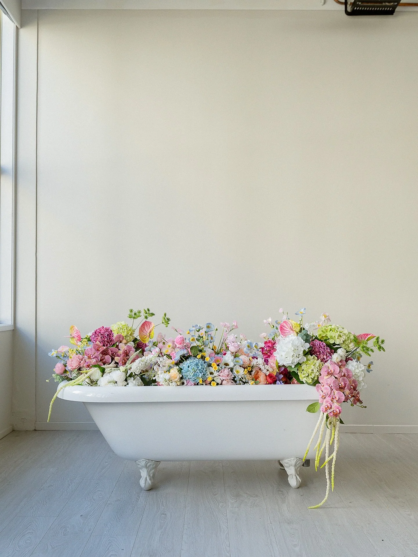 ✨ 1,000 FOLLOWERS ✨

We just hit 1,000 followers and we&rsquo;re feeling so grateful! 🥹 

Thank you so much to everyone who has supported us - whether you&rsquo;ve followed along, liked, shared, recommended us, or trusted us to be part of your speci