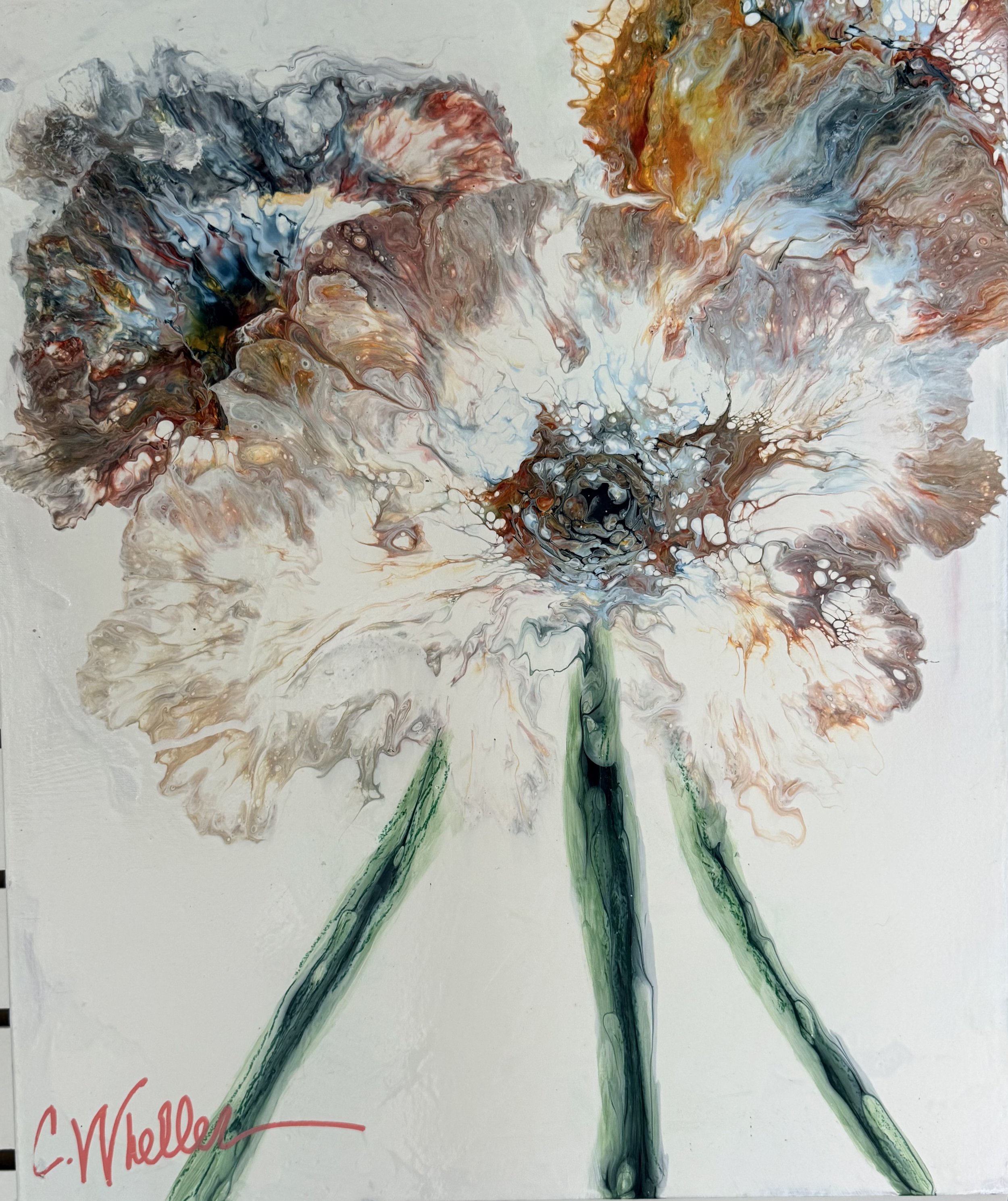 Poppy Reverie