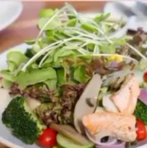 Feeding the Fat Bundle 5-Day