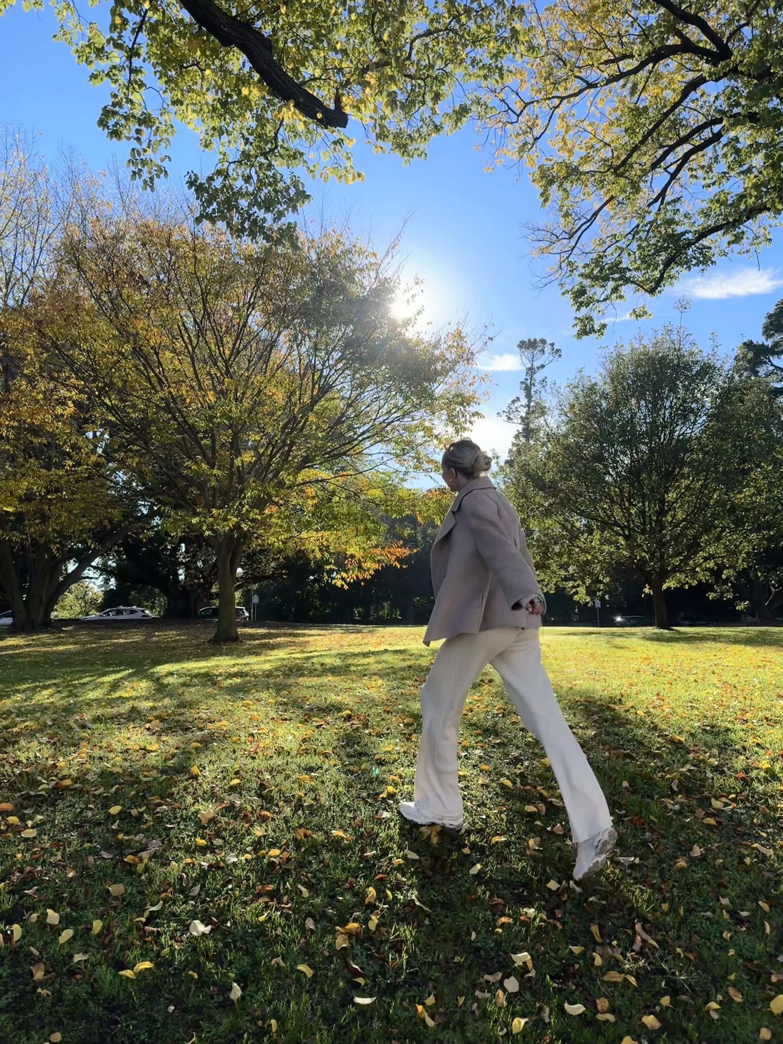 3 month 1:1 Coaching Plan