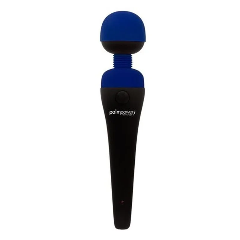 PalmPower Massage Wand - Blue