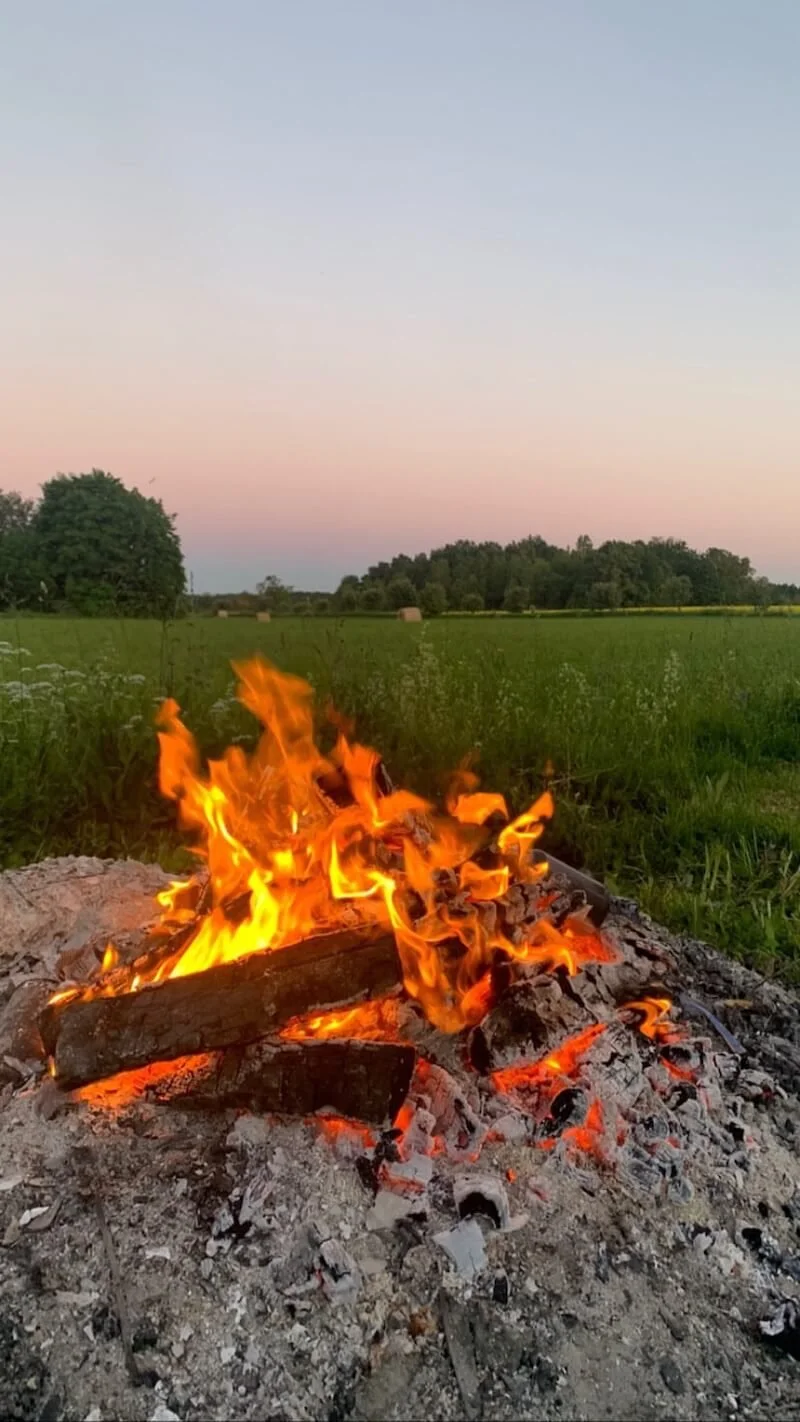 Feuerstelle mit brennendem Holz in einer offenen Feldlandschaft bei Sonnenuntergang, mit Bäumen im Hintergrund.