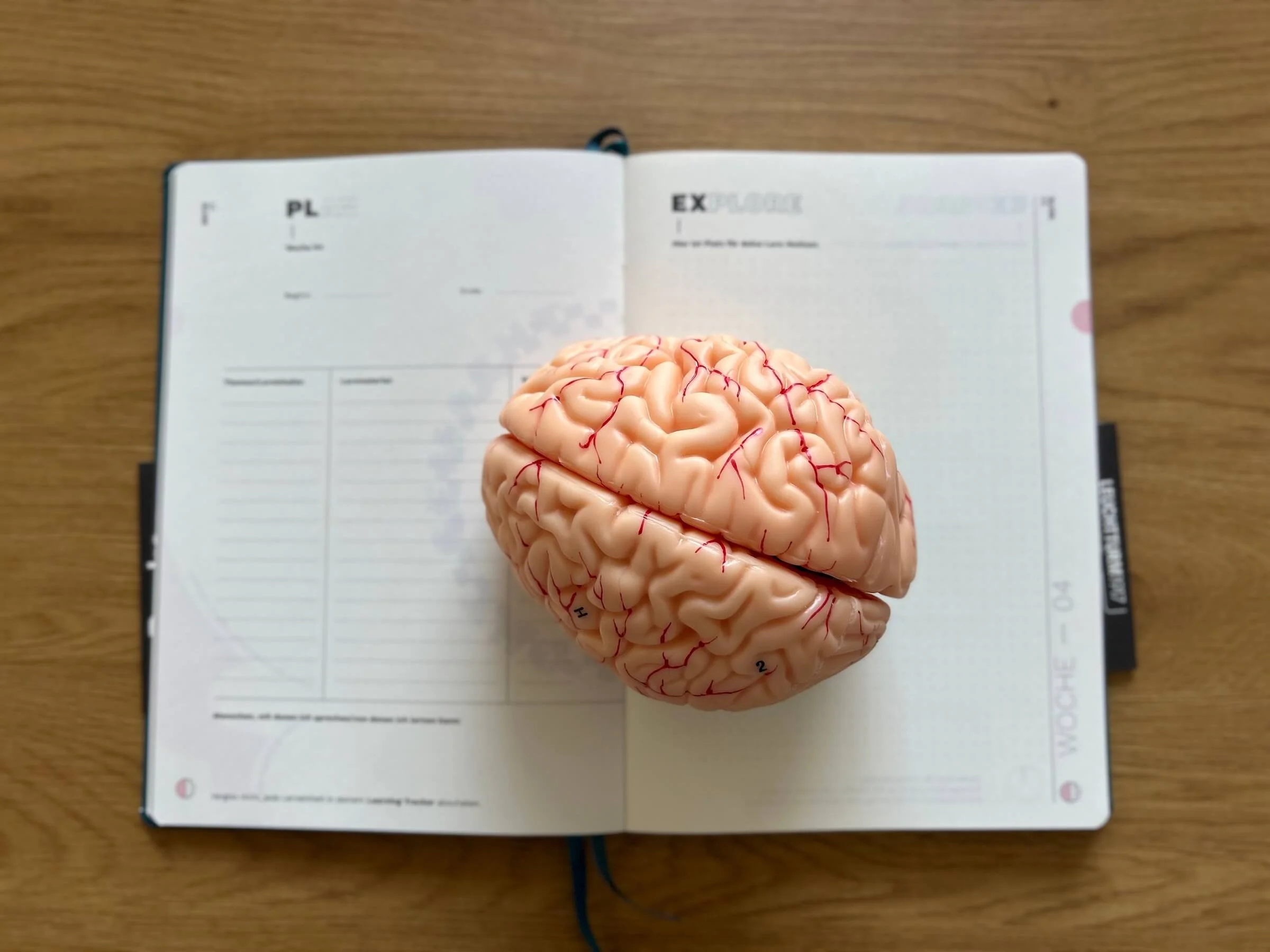 Die versteckten Kosten von nicht angewendetem Lernen