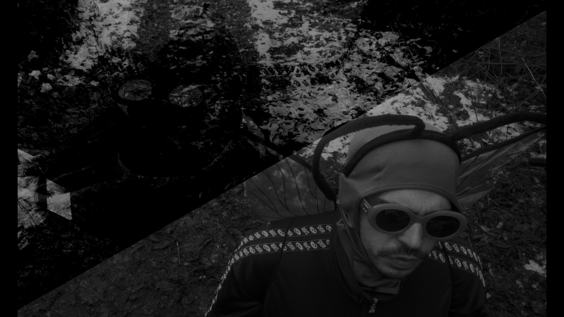 cig1stillss_2.1.5.png