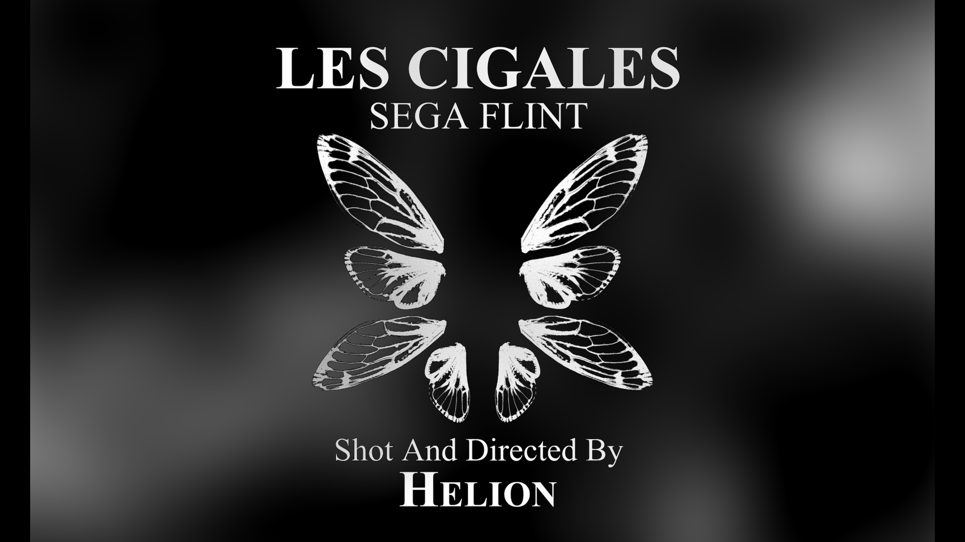 cig1stillss_2.1.22.png