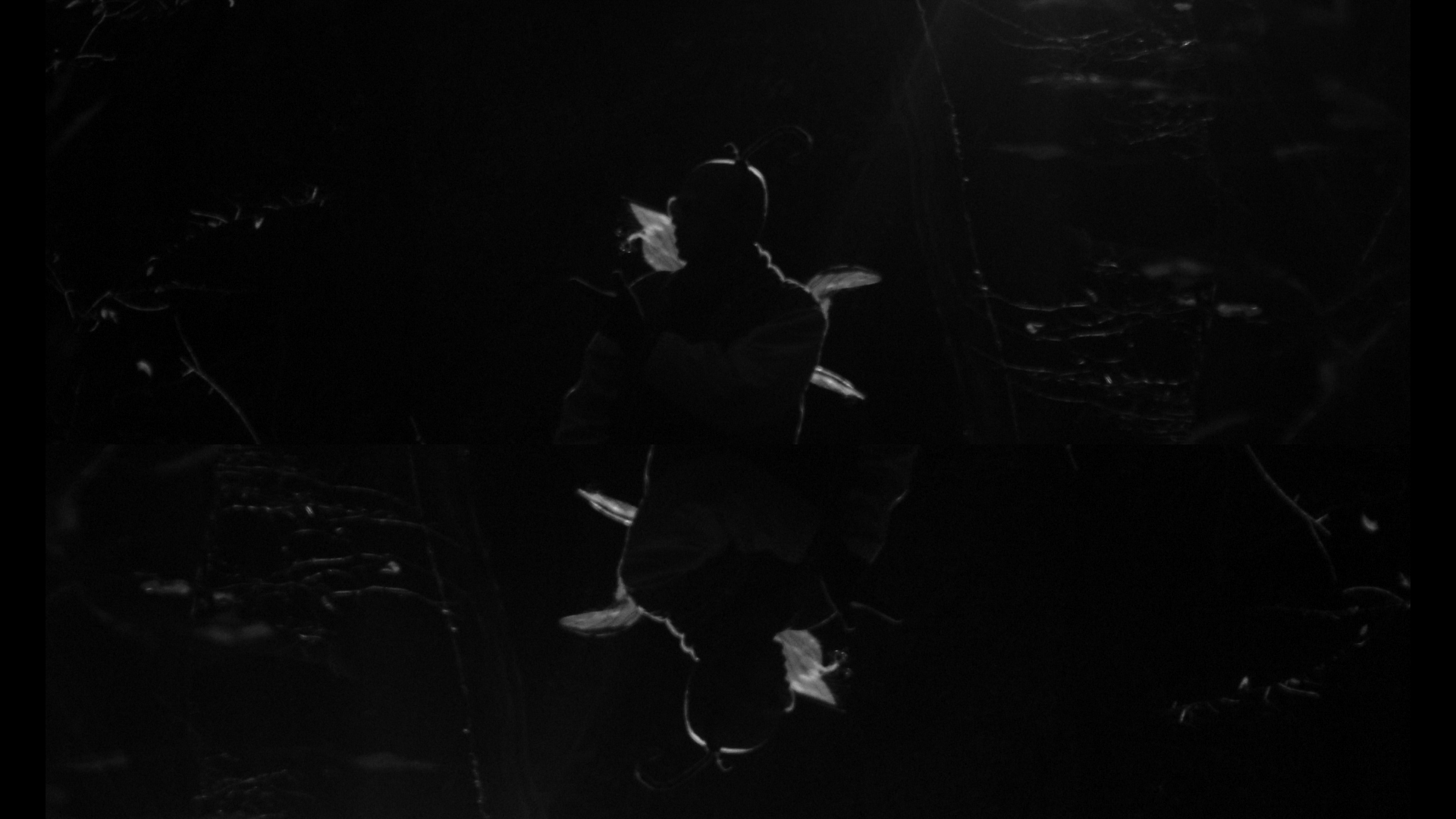 cig1stillss_2.1.7.png