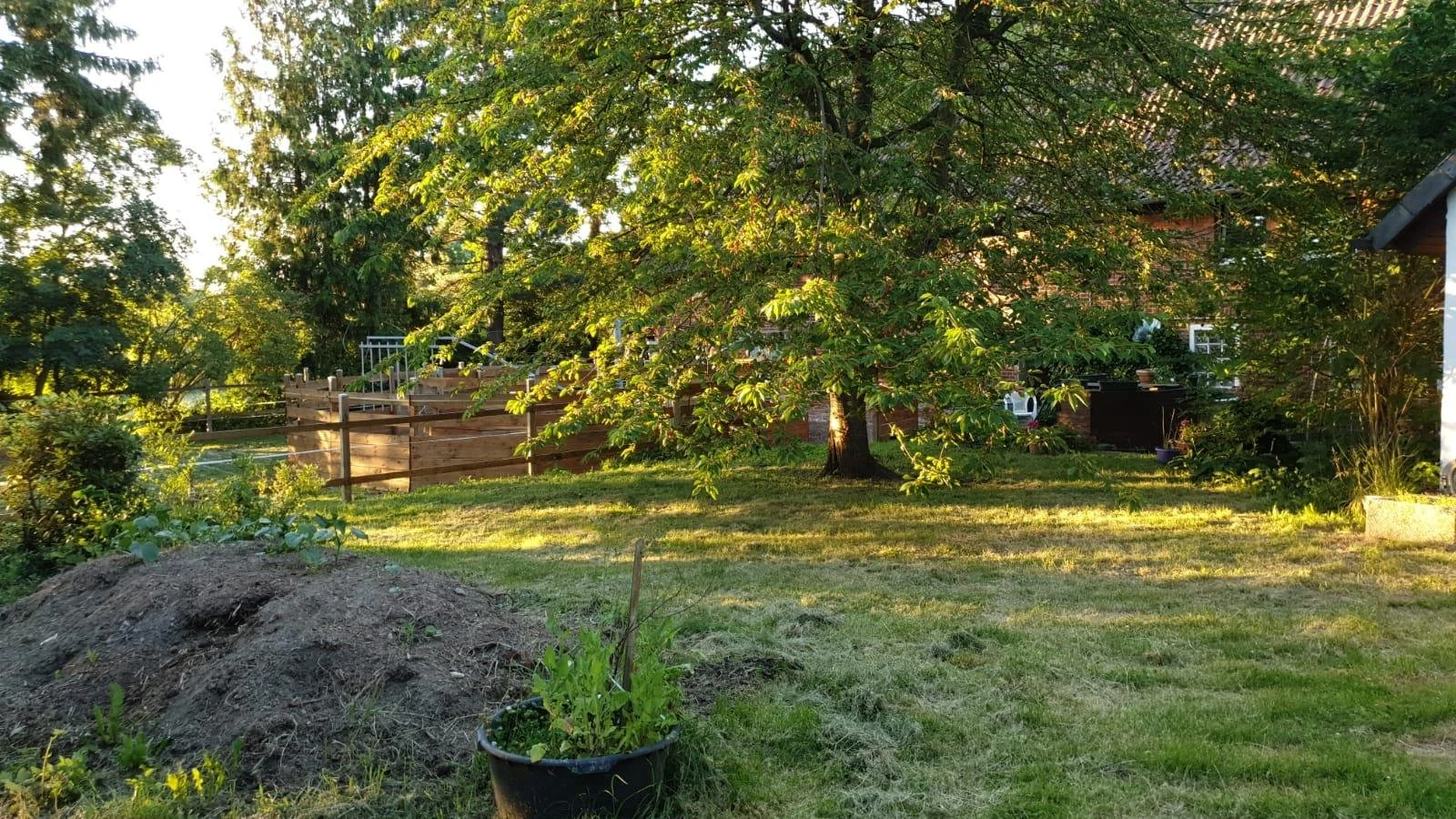 Garten-02.jpeg