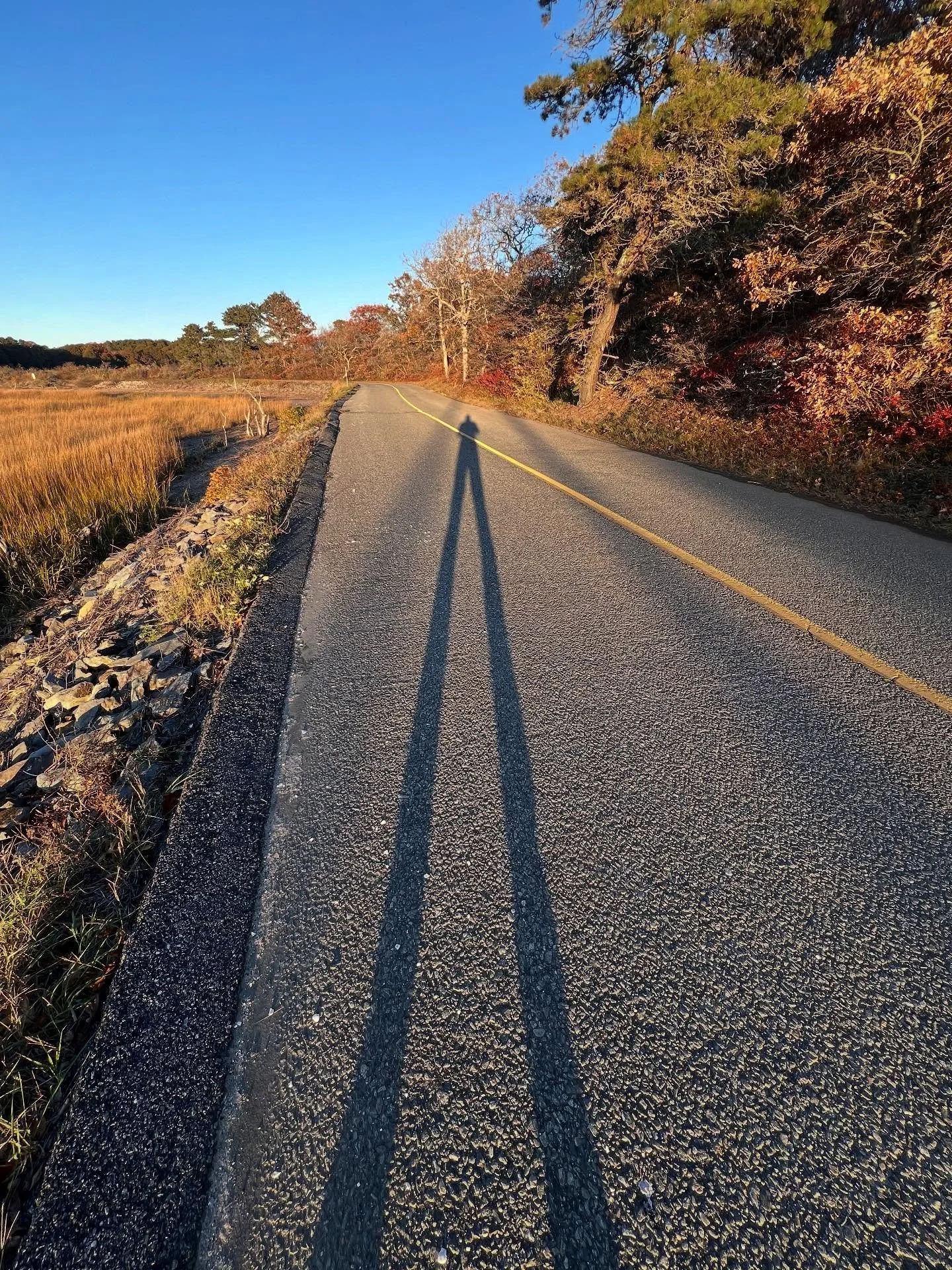 Sunset, 4:32pm 🙃💛😎