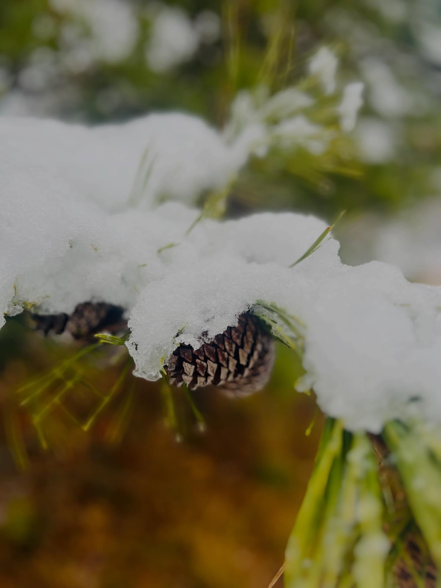 ❄️🫶🏼❄️