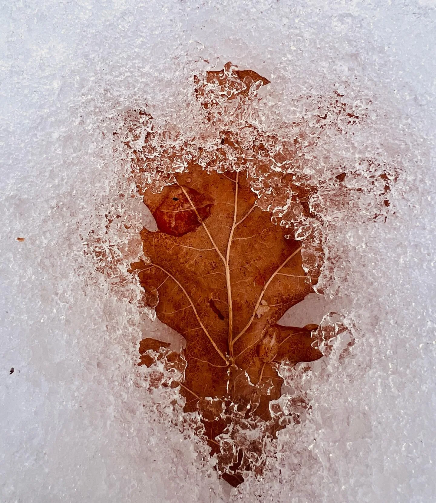 Gentle Saturday 💝🥾😎