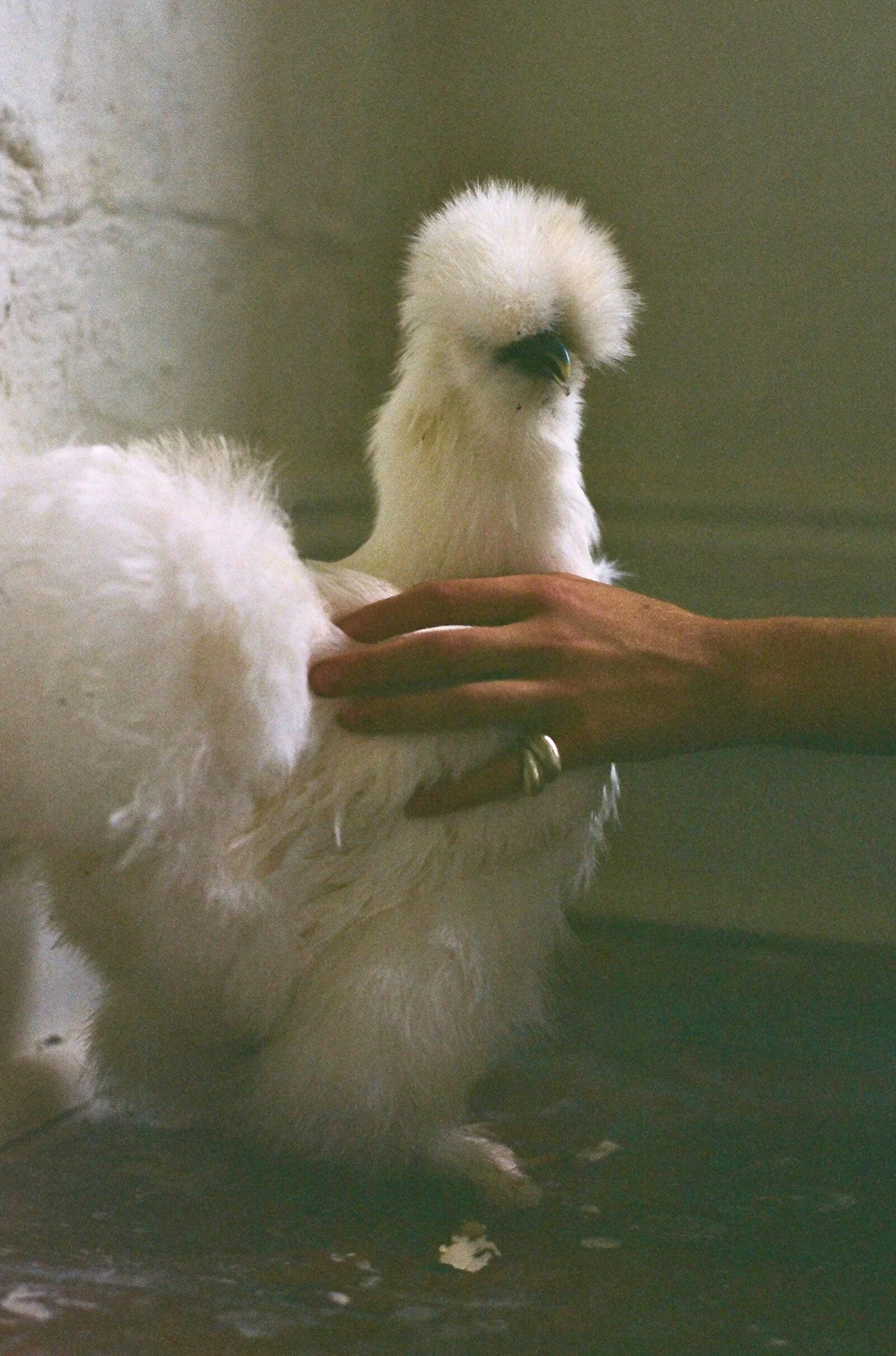 View recent photos 2.jpeg