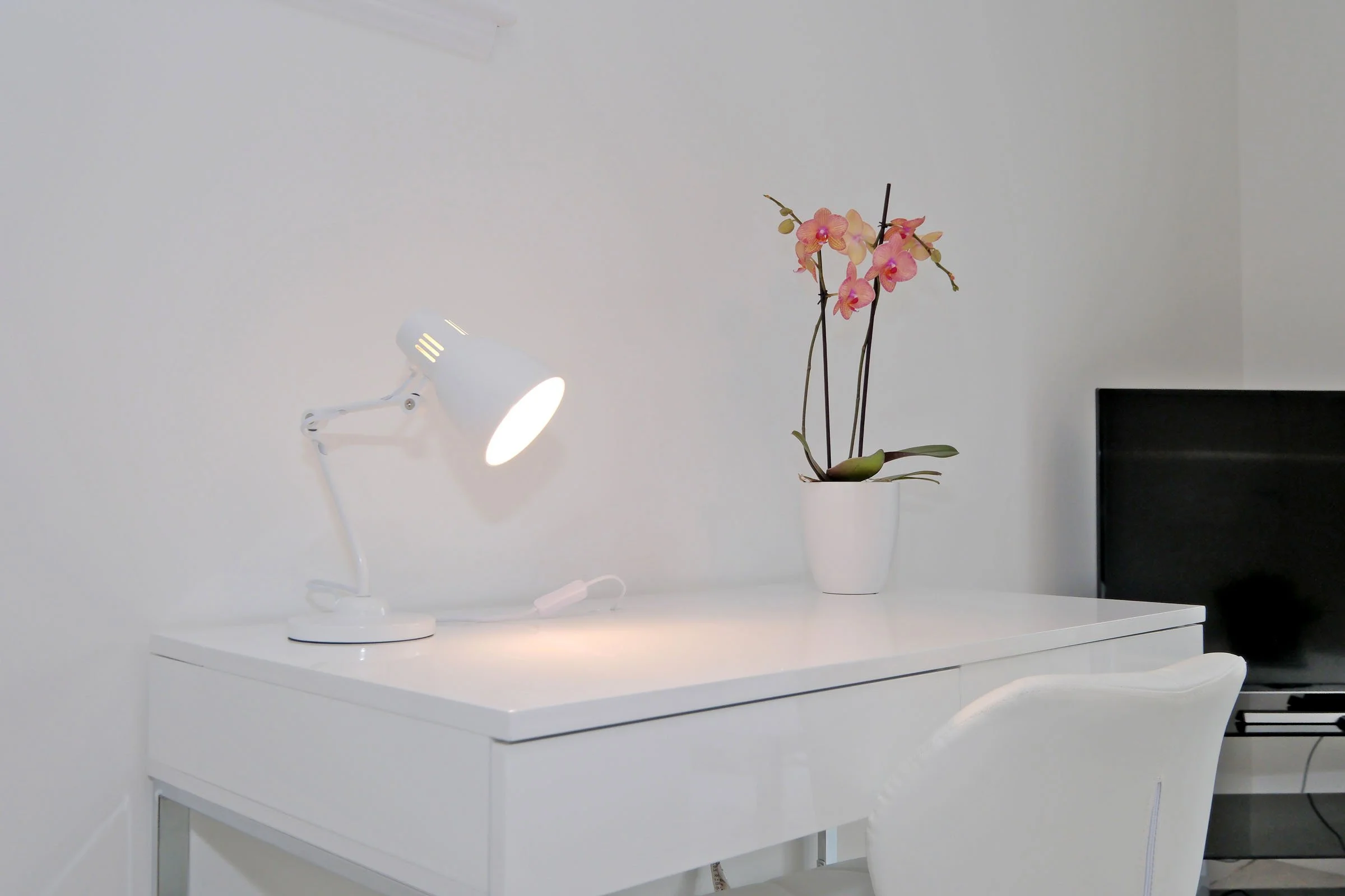 Thistle Lane 43D _ (23)4031.JPG