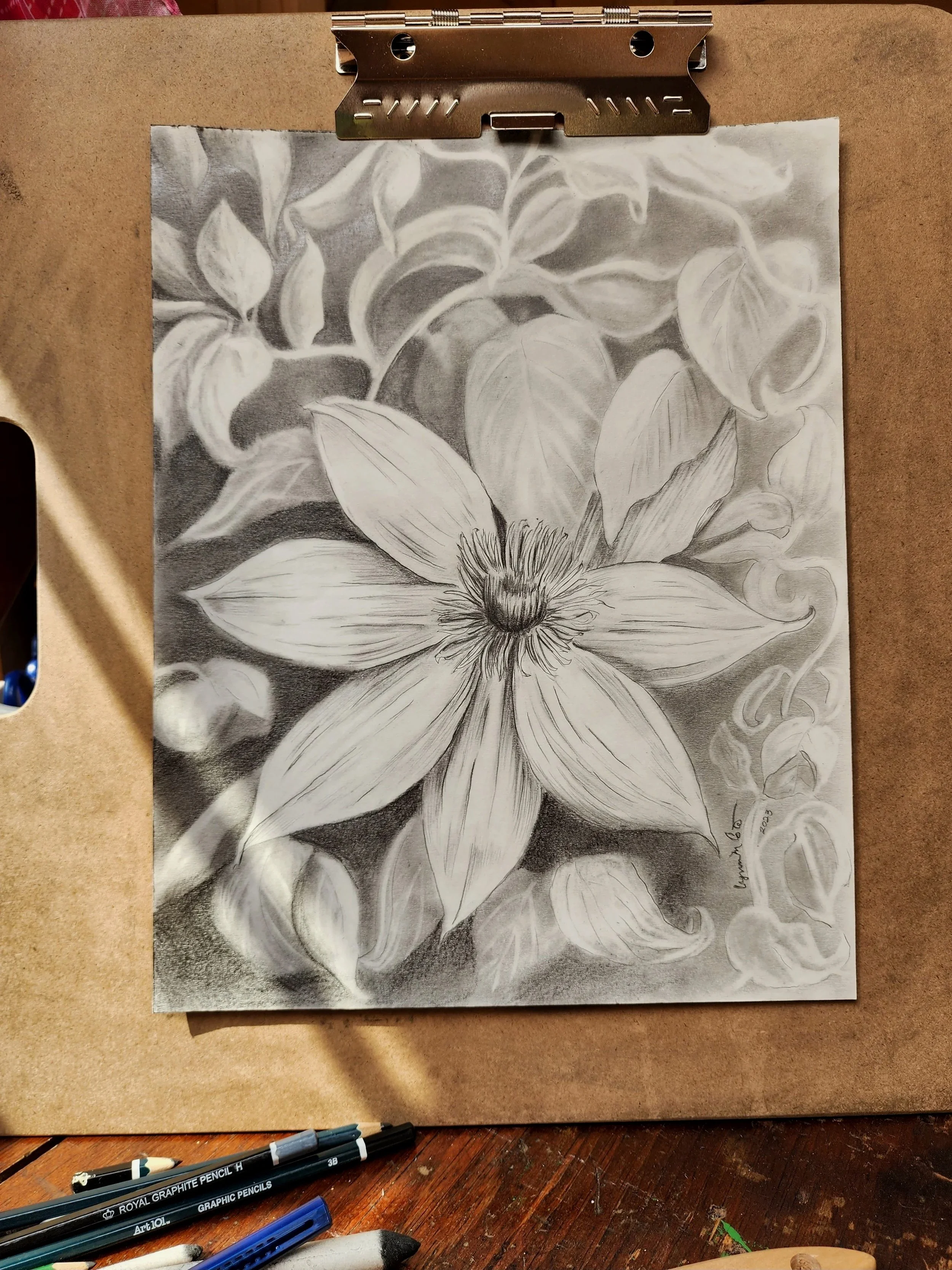 Black and white pencil drawing, clematis vine with large blossom. Intricate petals. Moody background. Elegant design for your home.