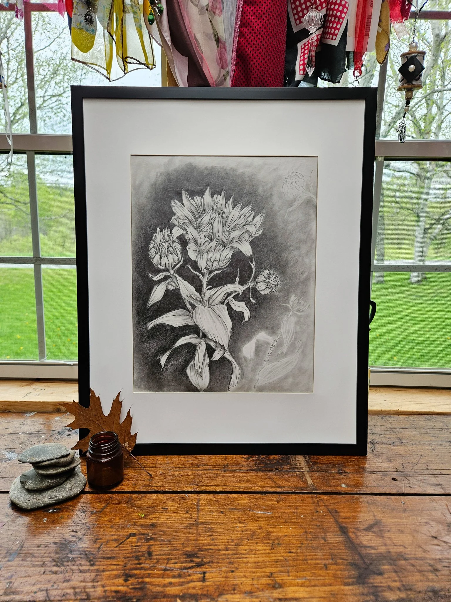 Original black and white drawing, Daisies from bud to blossom set of three, Drawing number 2, mid bloom. by Lynn M Cote, Birch Haven Art Studio
