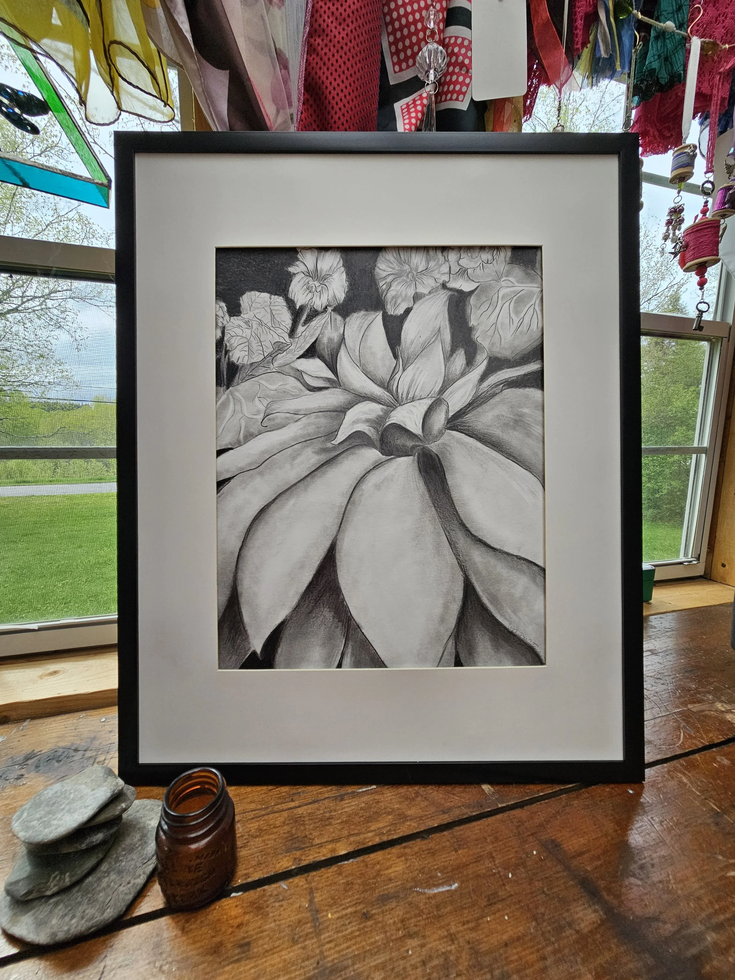 Black and white pencil drawing, Luscious succulent plant shown in black frame