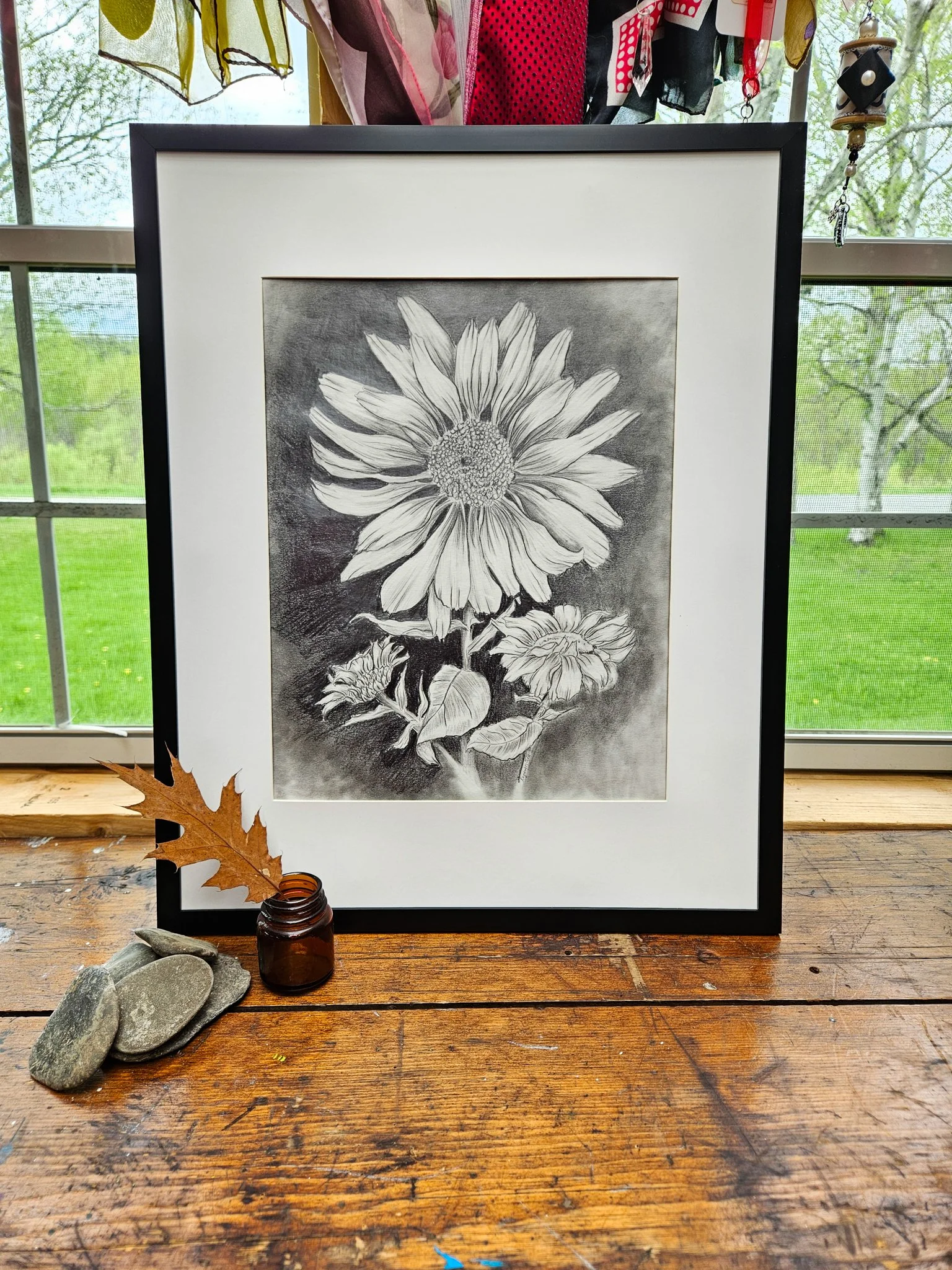 Original black and white drawing, Daisies from bud to blossom set of three, Drawing number , full bloom. by Lynn M Cote, Birch Haven Art Studio