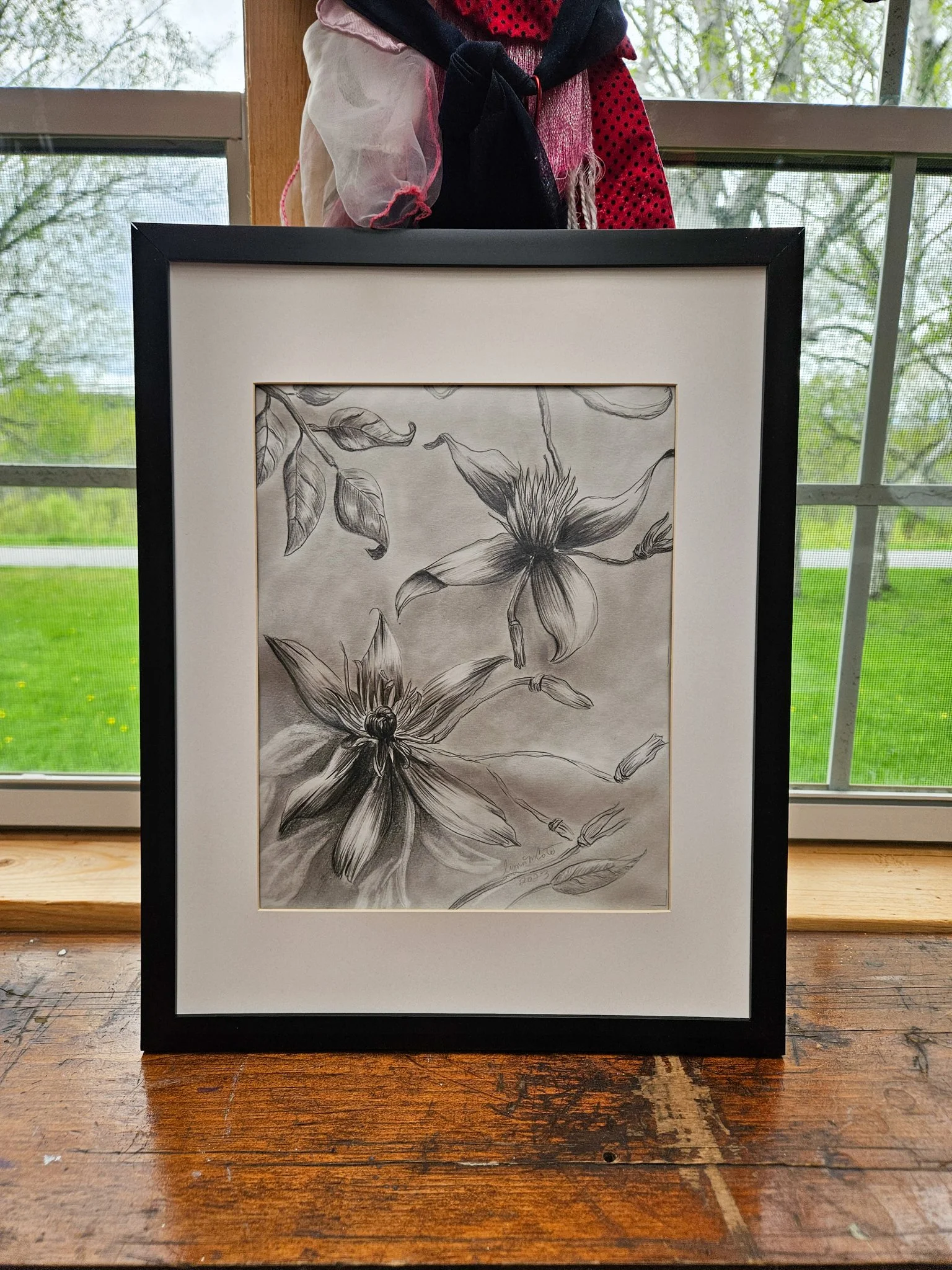 original black and white pencil drawing, Sweet Autumn Clematis vine by Lynn M Cote, Birch Haven Art Studio. Shown in black frame.