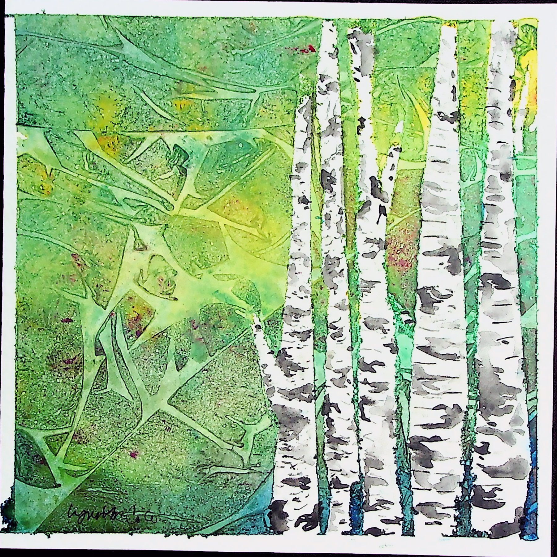 Birches in Summer