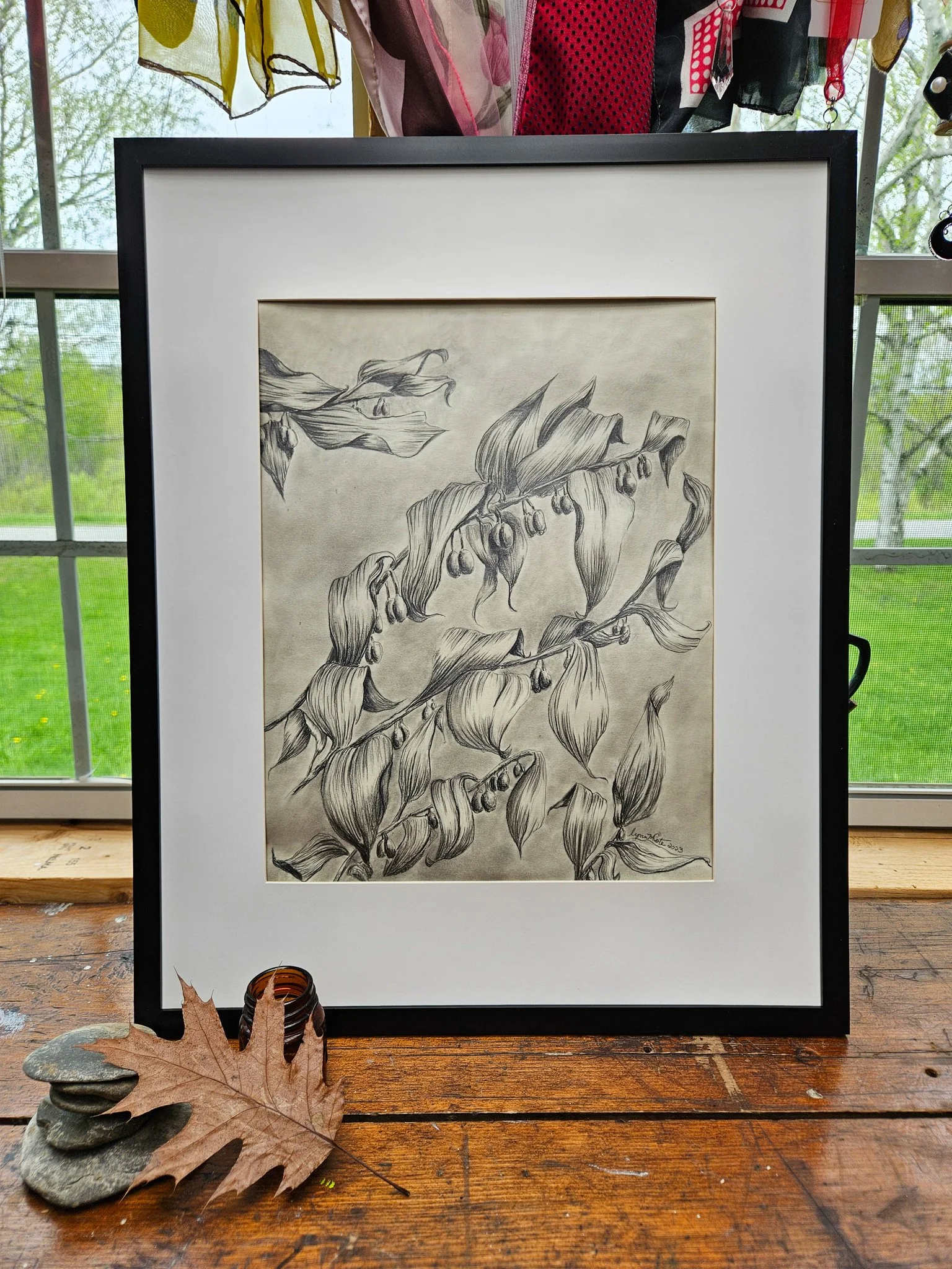 Original Pencil Drawing, Solomon Seal shown in black frame by Lynn M Cote, Birch Haven Art Studio