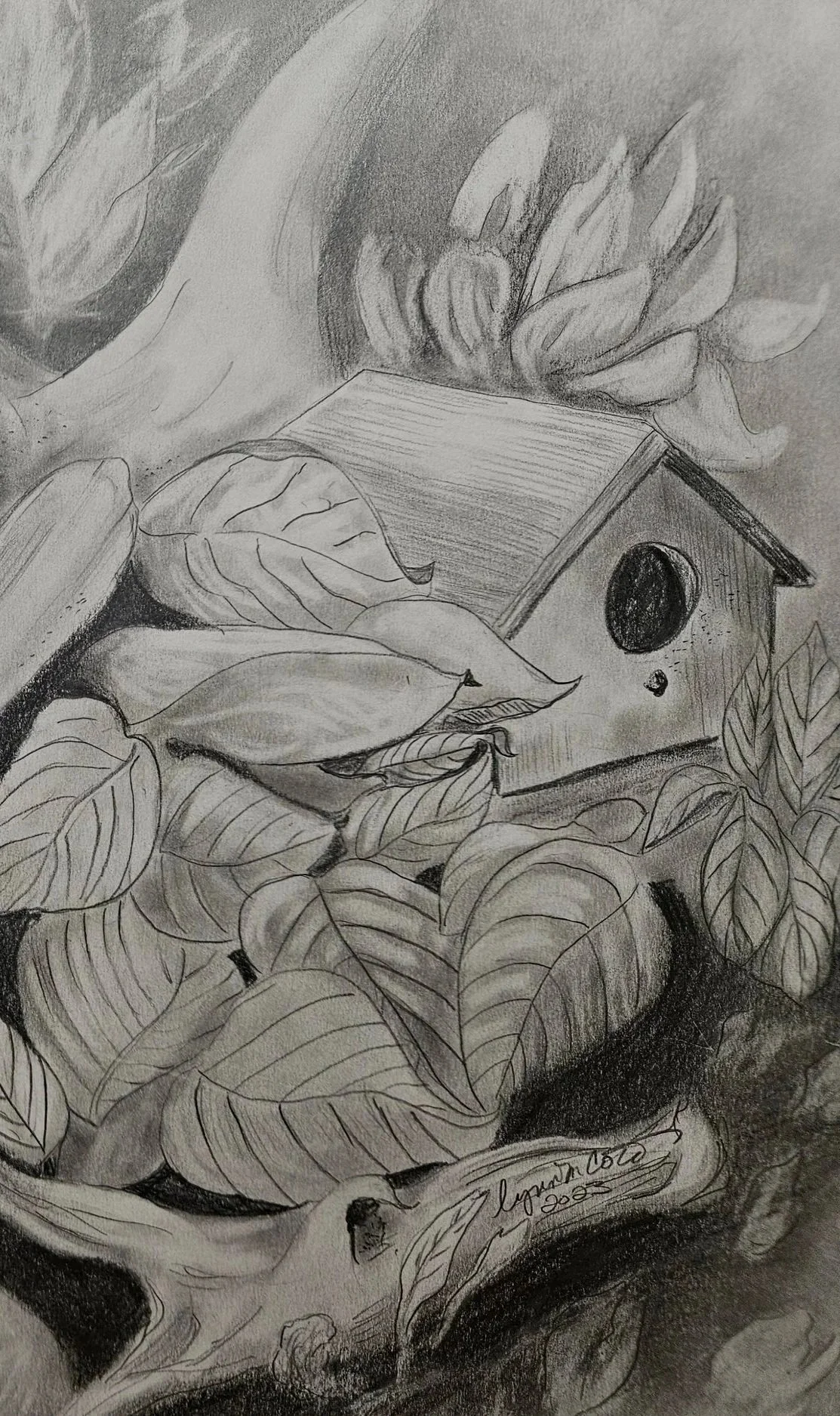Original pencil drawing, moose antler and birdhouse by Lynn M Cote, Birch Haven Studio