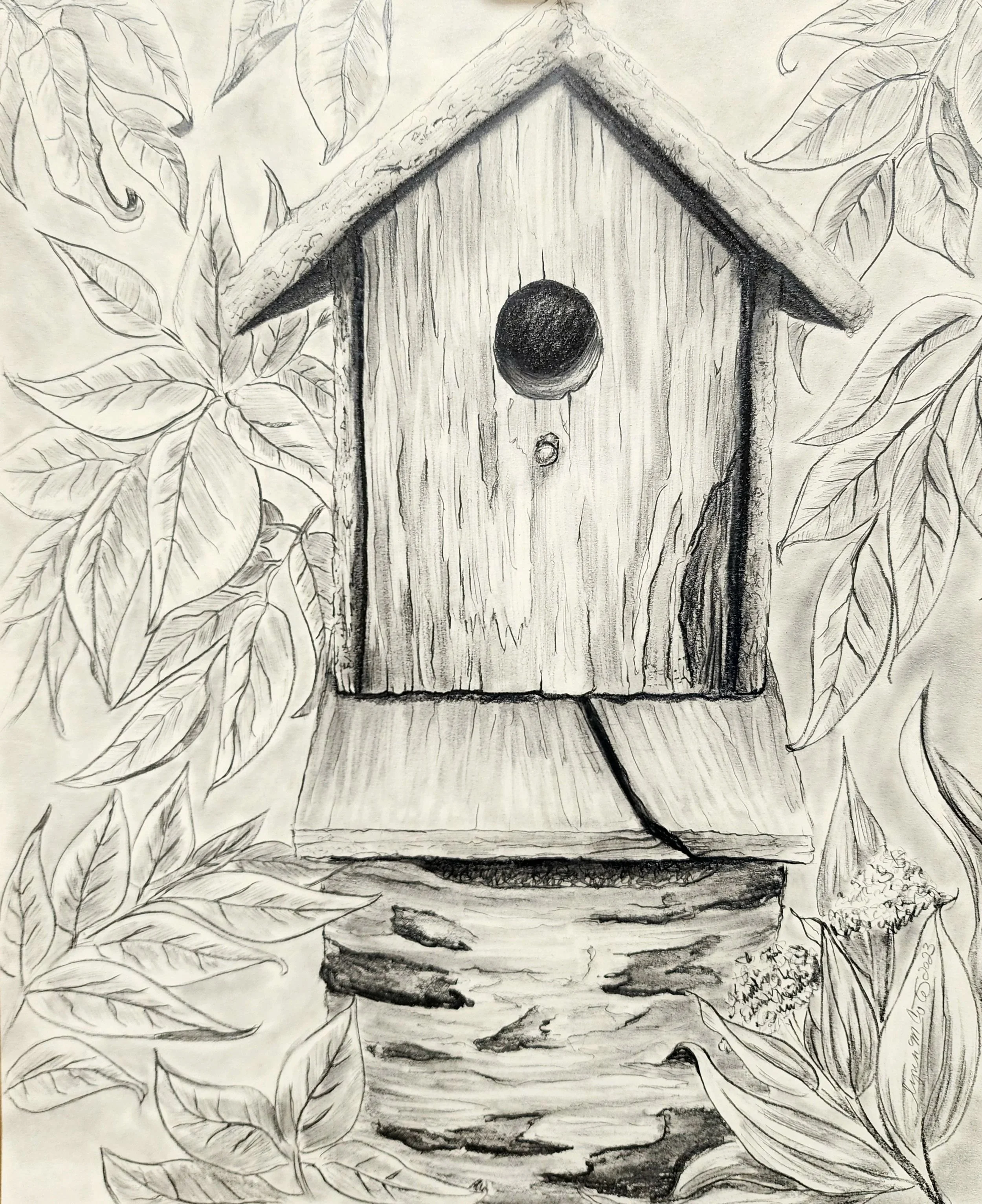 Is There a Bird in There?