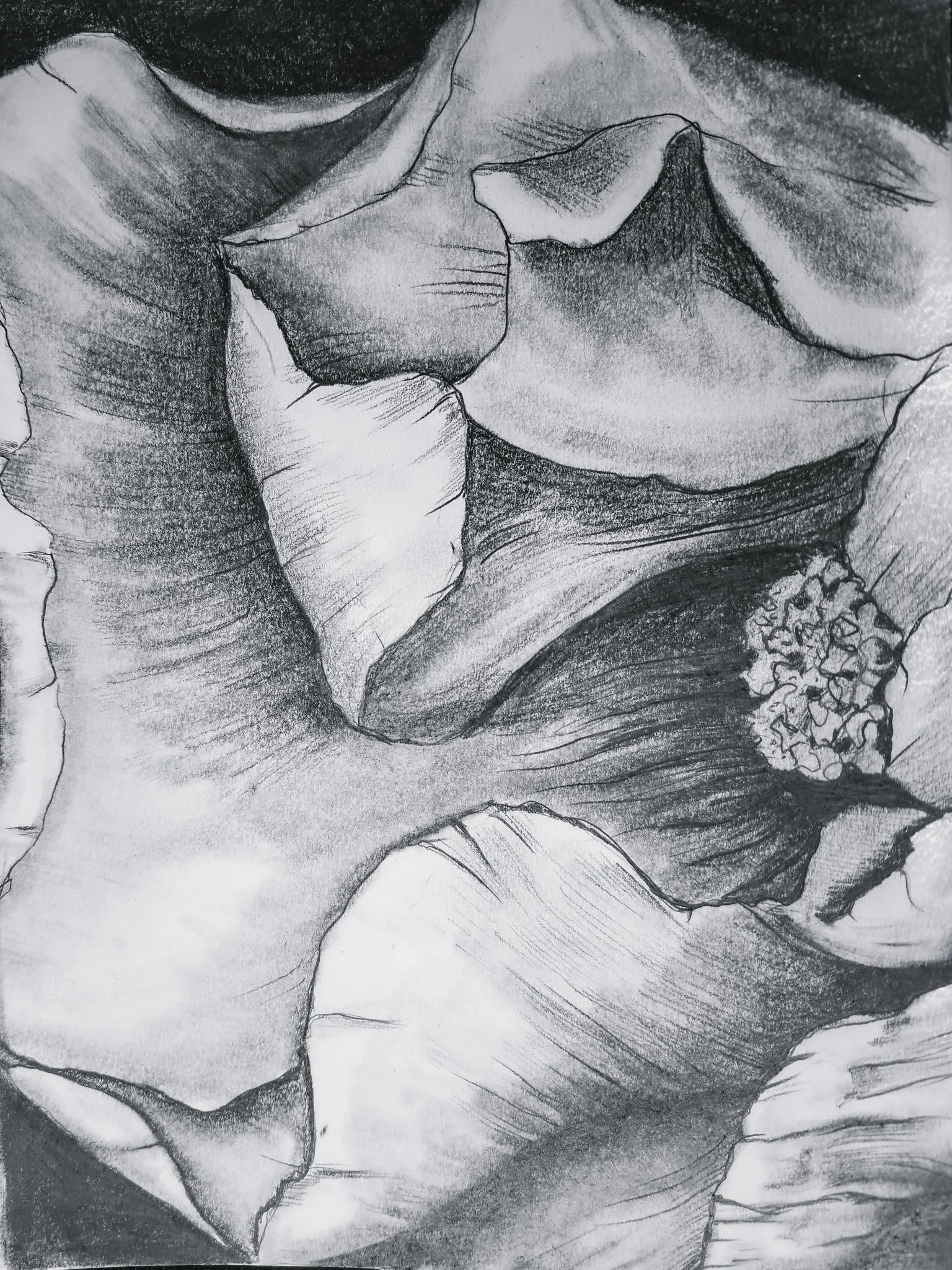 Oh Flower, I Wish I Knew Your Name