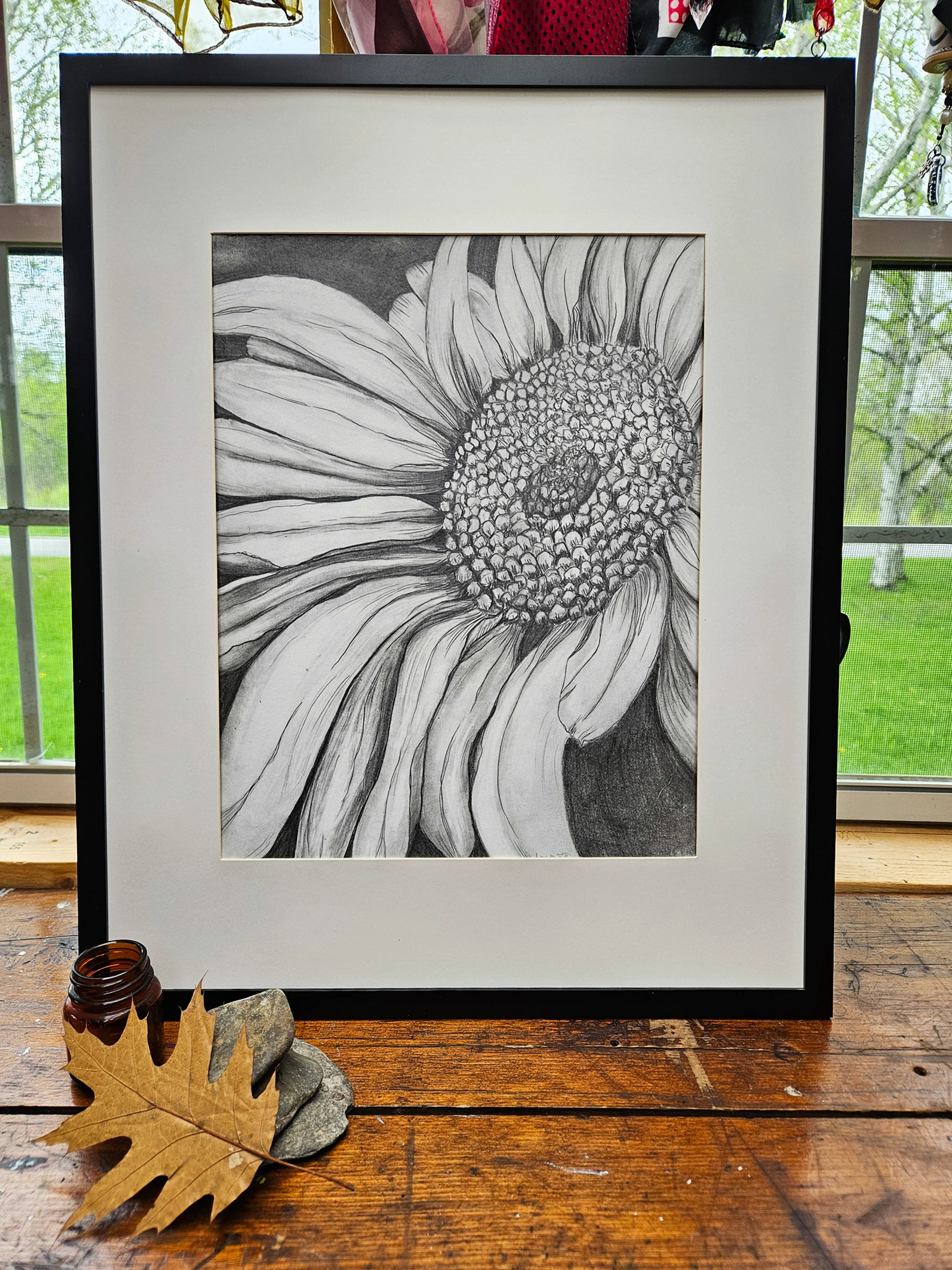Original grayscale drawing of a single daisy shown in black frame. by Lynn M Cote, Birch Haven Art Studio.