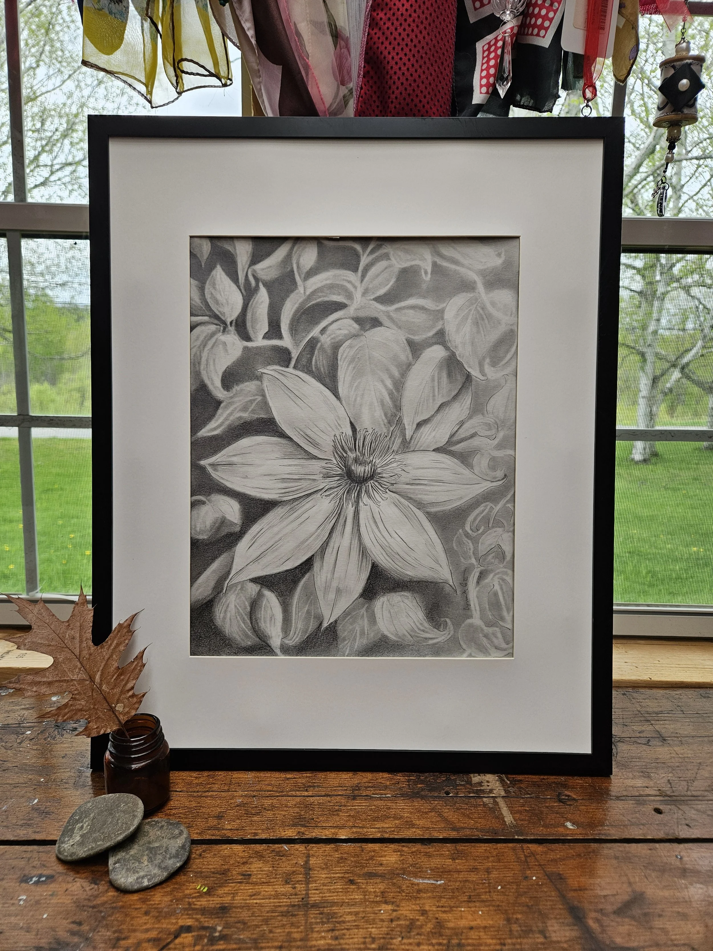 Black and white pencil drawing, clematis vine with large blossom. Intricate petals. Moody background. Elegant design for your home. Shown in black frame.