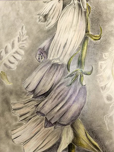 Subtleties of Foxglove