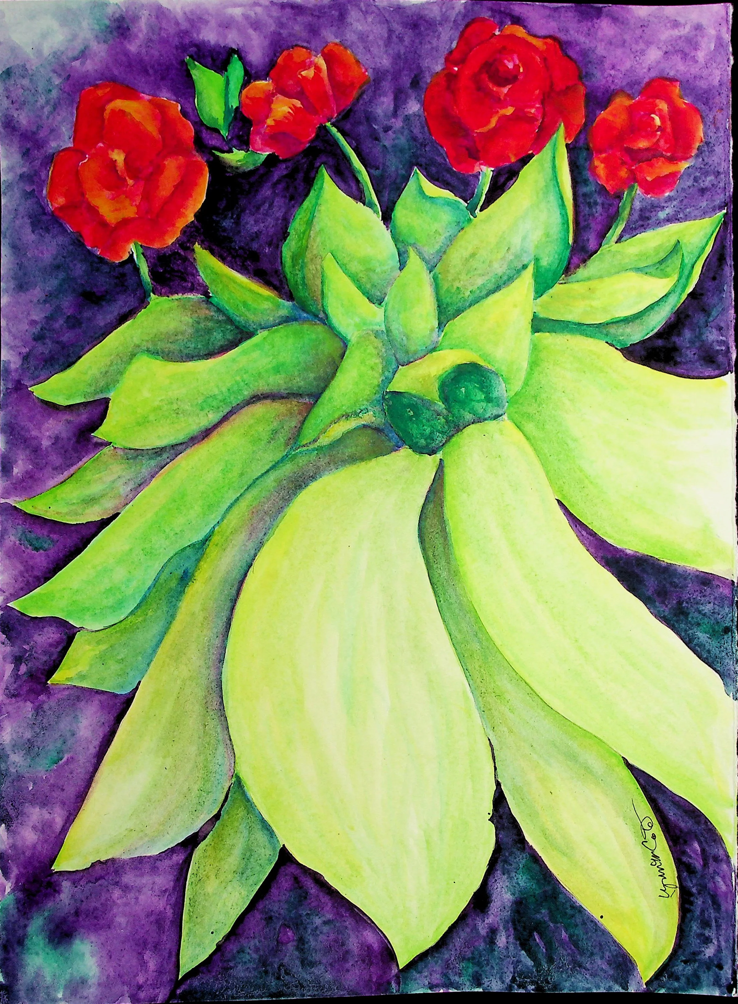 Succulent & Begonias